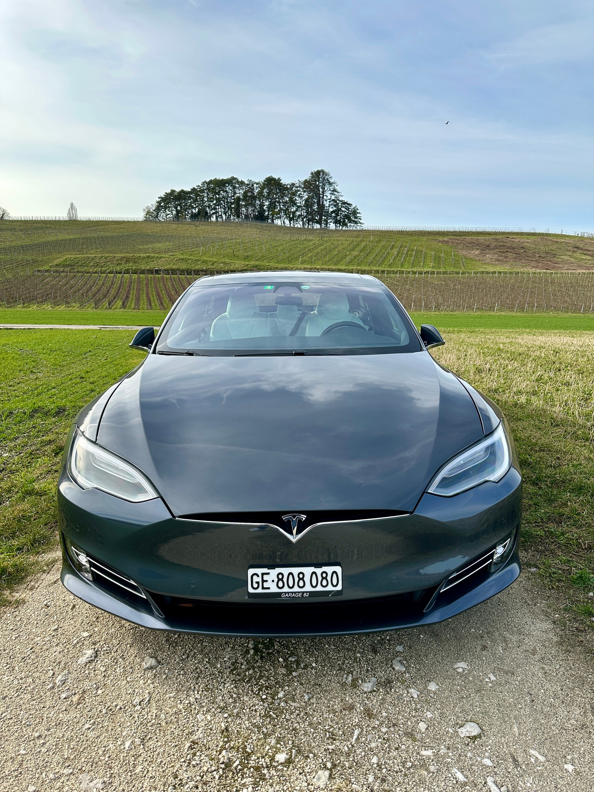 TESLA Model S 100 D Performance-image-5