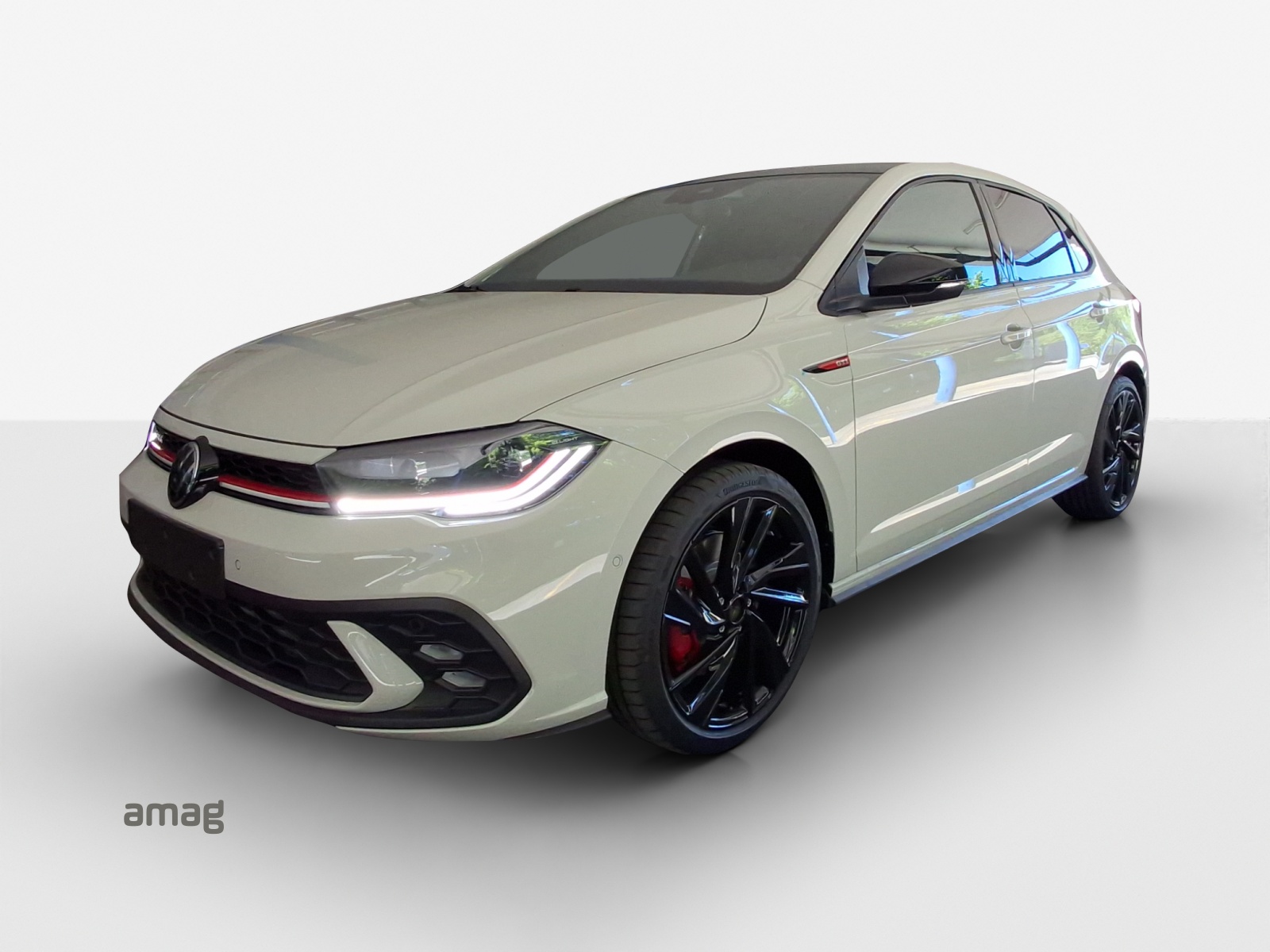 VW Polo 2.0 TSI GTI DSG
