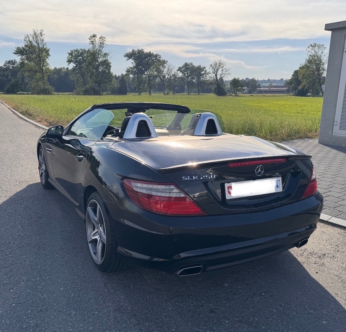 MERCEDES-BENZ SLK 250-image-1