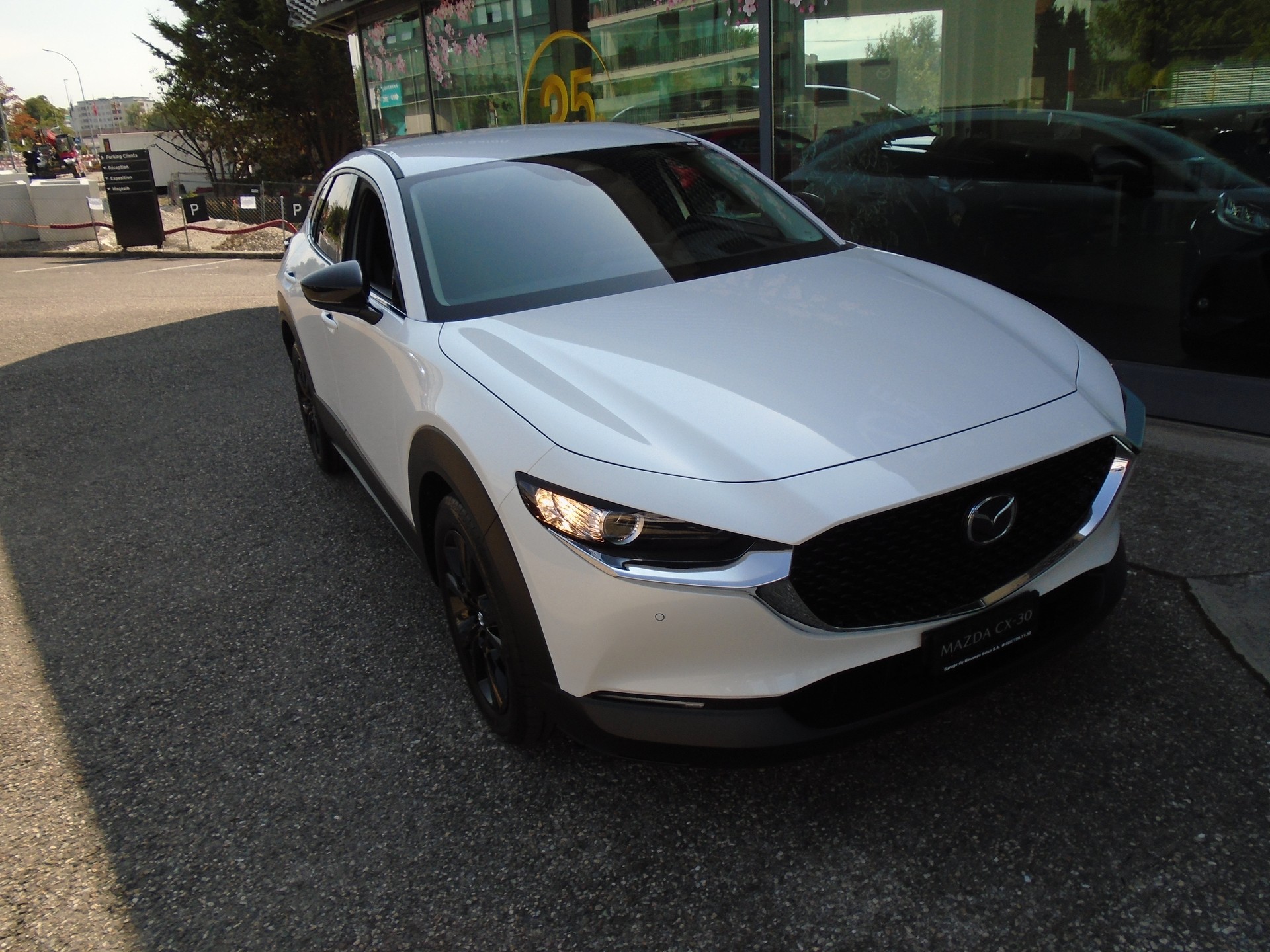 MAZDA CX-30 SKYACTIV-G 140 M Hybrid Homura FWD AT-image-0