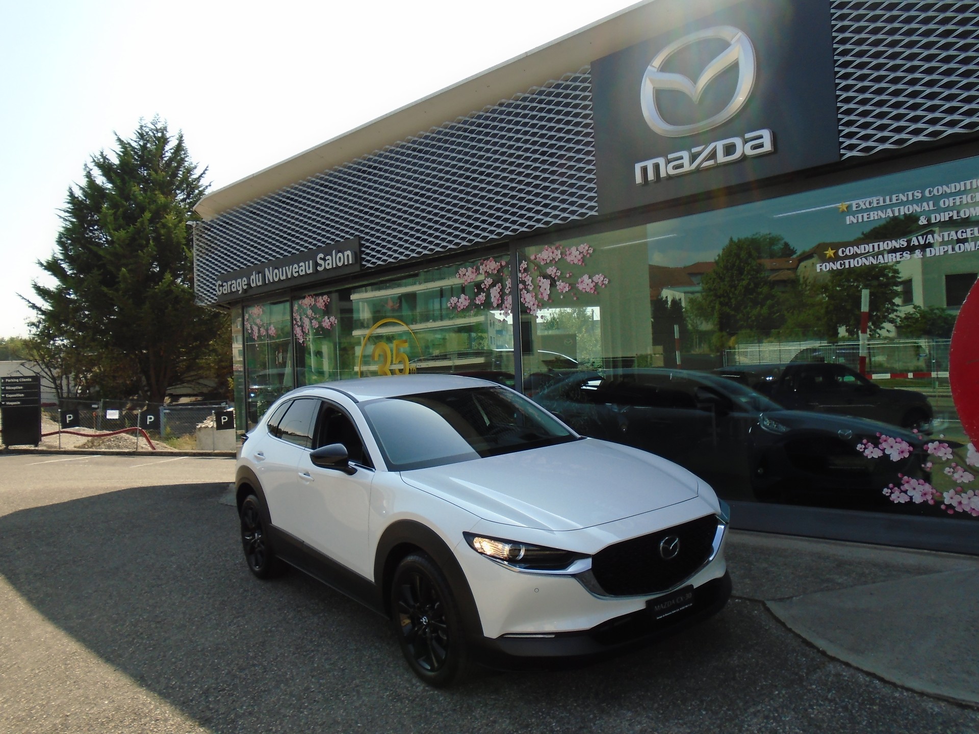 MAZDA CX-30 SKYACTIV-G 140 M Hybrid Homura FWD AT-image-12