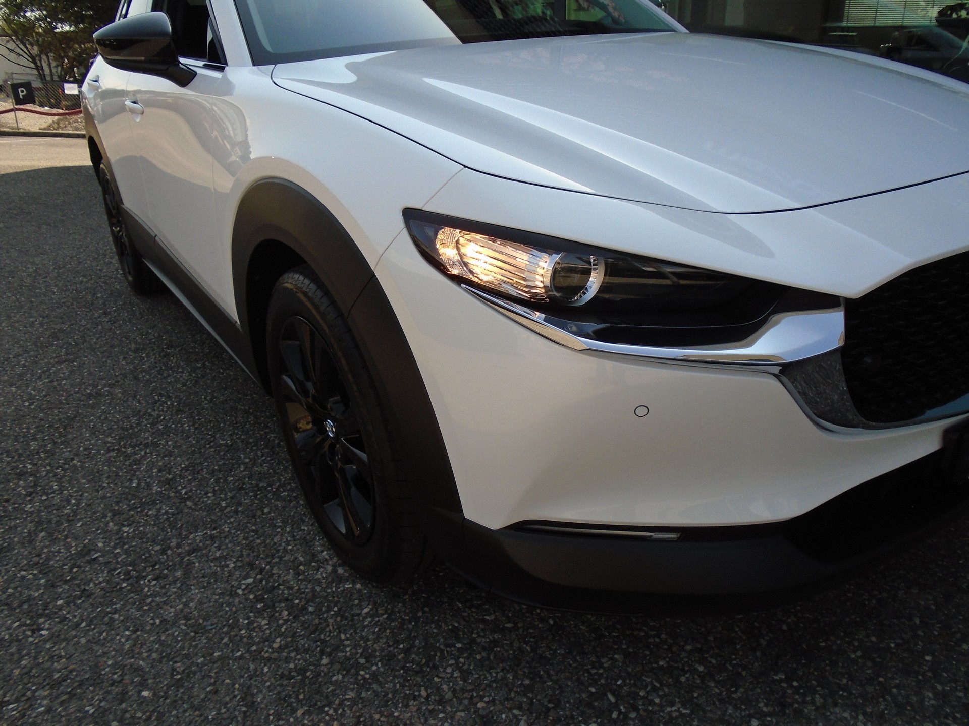 MAZDA CX-30 SKYACTIV-G 140 M Hybrid Homura FWD AT-image-2