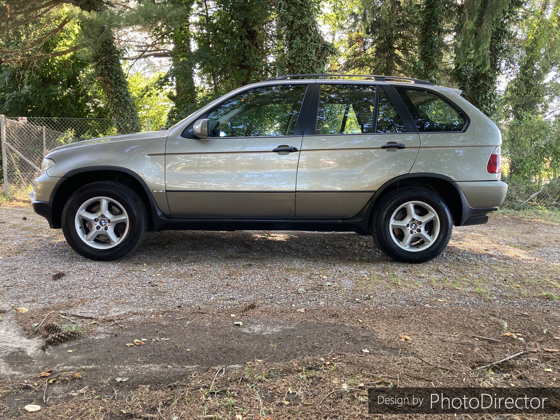 BMW X5 3.0d-image-3