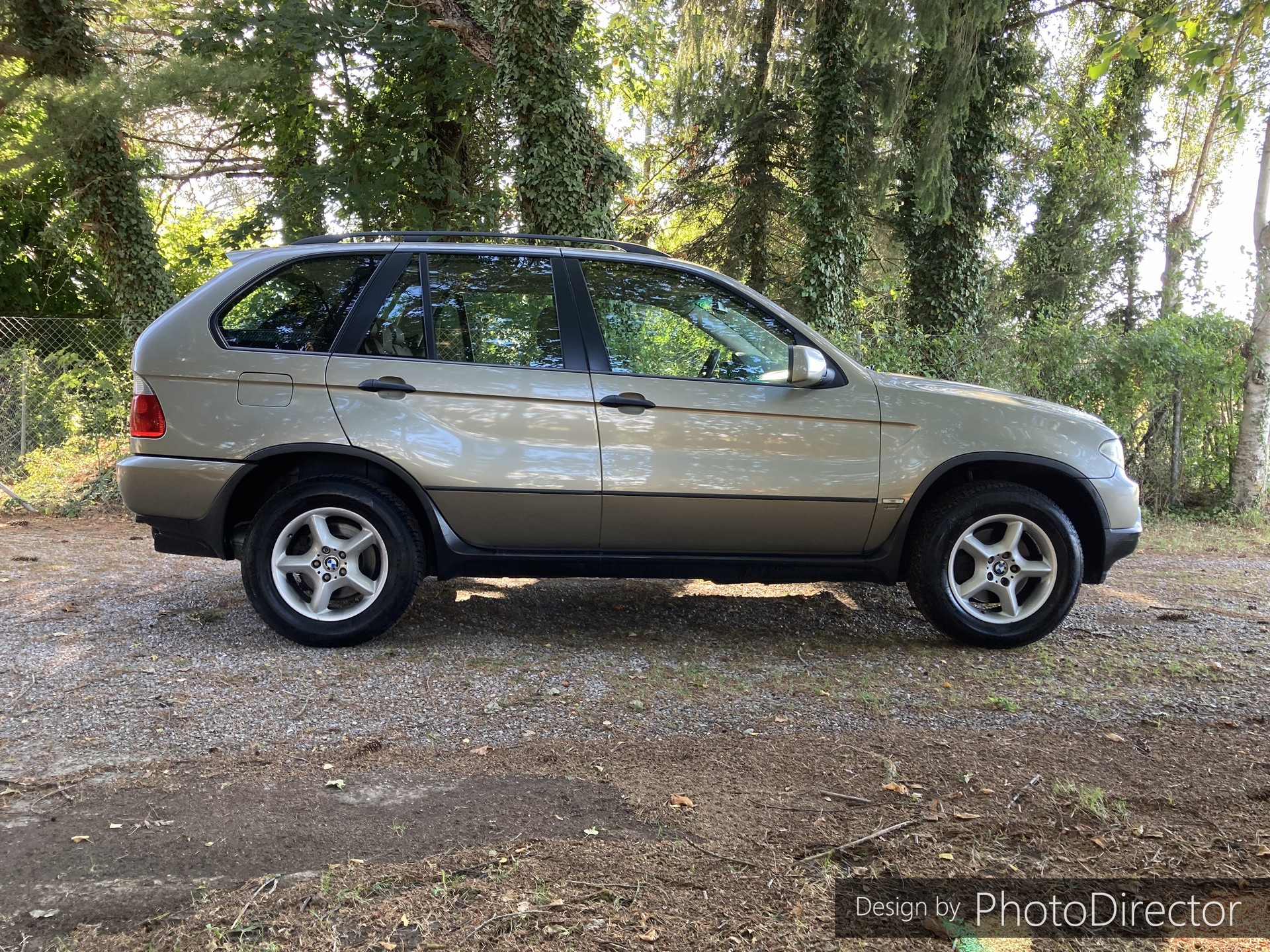 BMW X5 3.0d-image-4