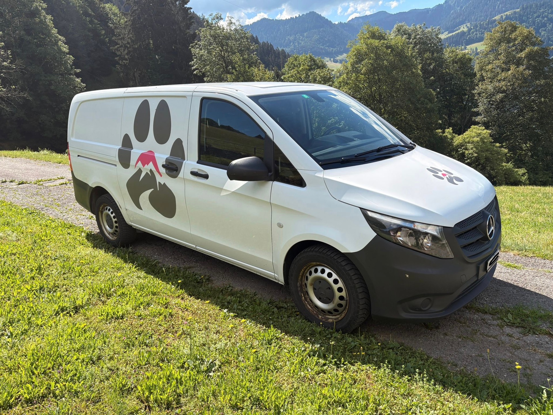 MERCEDES-BENZ Vito 114BT 4x4-image-0