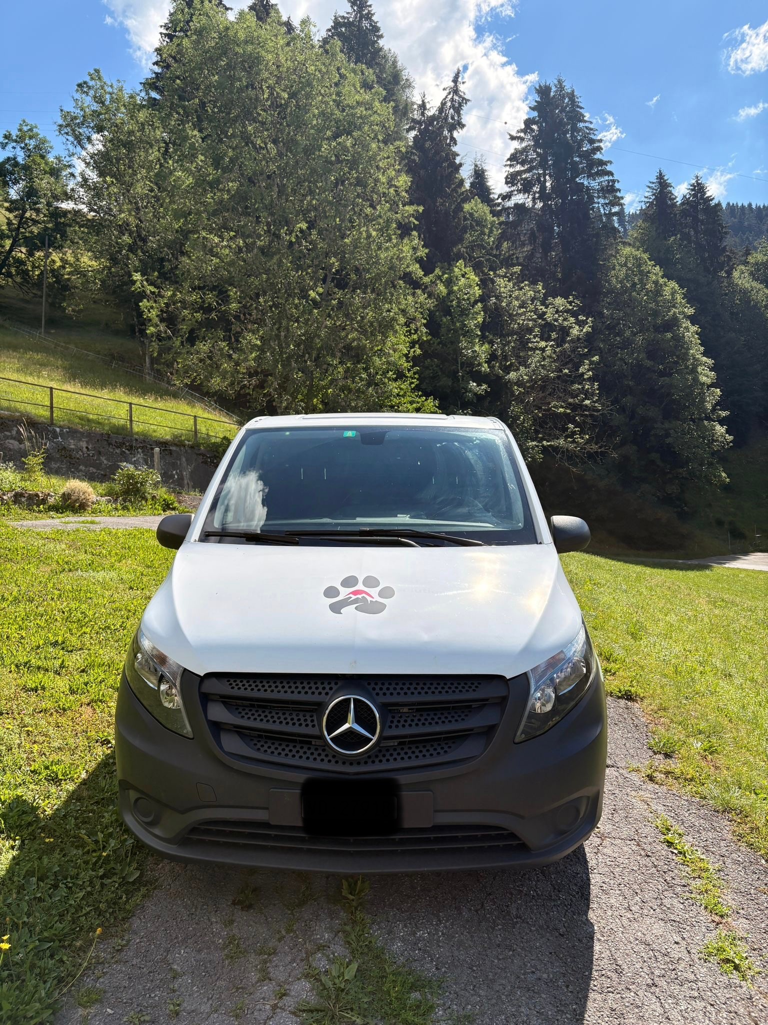 MERCEDES-BENZ Vito 114BT 4x4-image-1