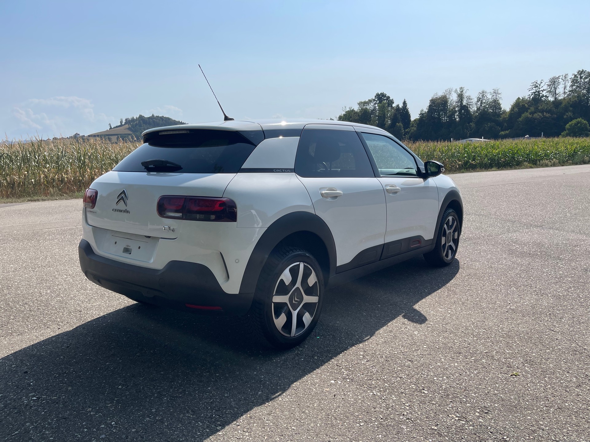 CITROEN C4 Cactus 1.2 PureT Origins-image-4