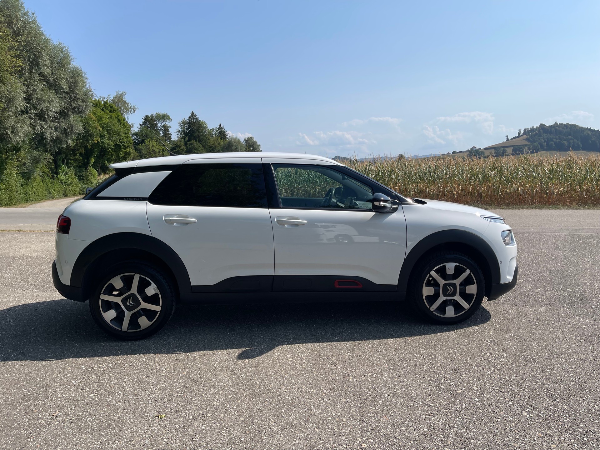 CITROEN C4 Cactus 1.2 PureT Origins-image-5