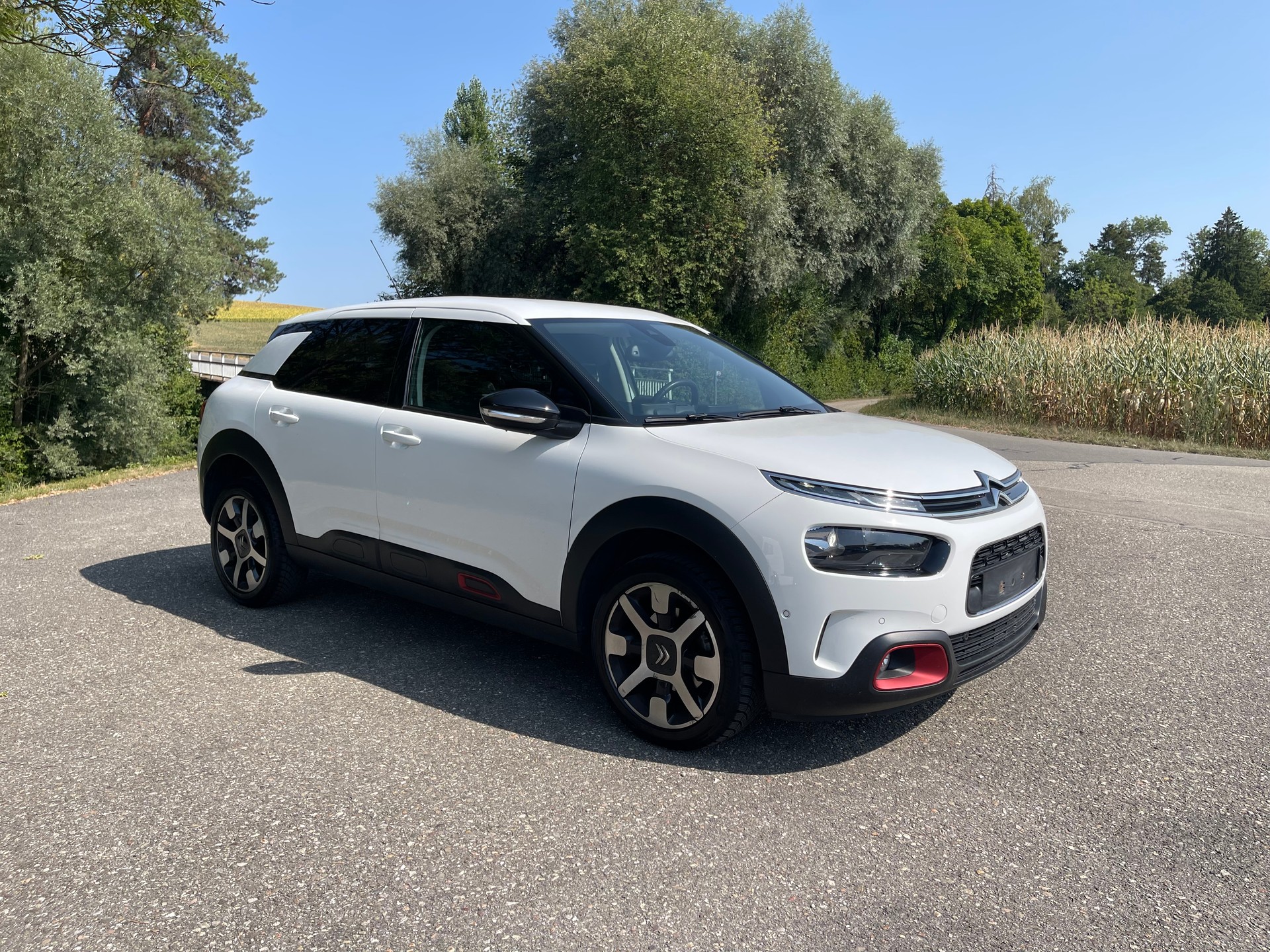 CITROEN C4 Cactus 1.2 PureT Origins-image-6