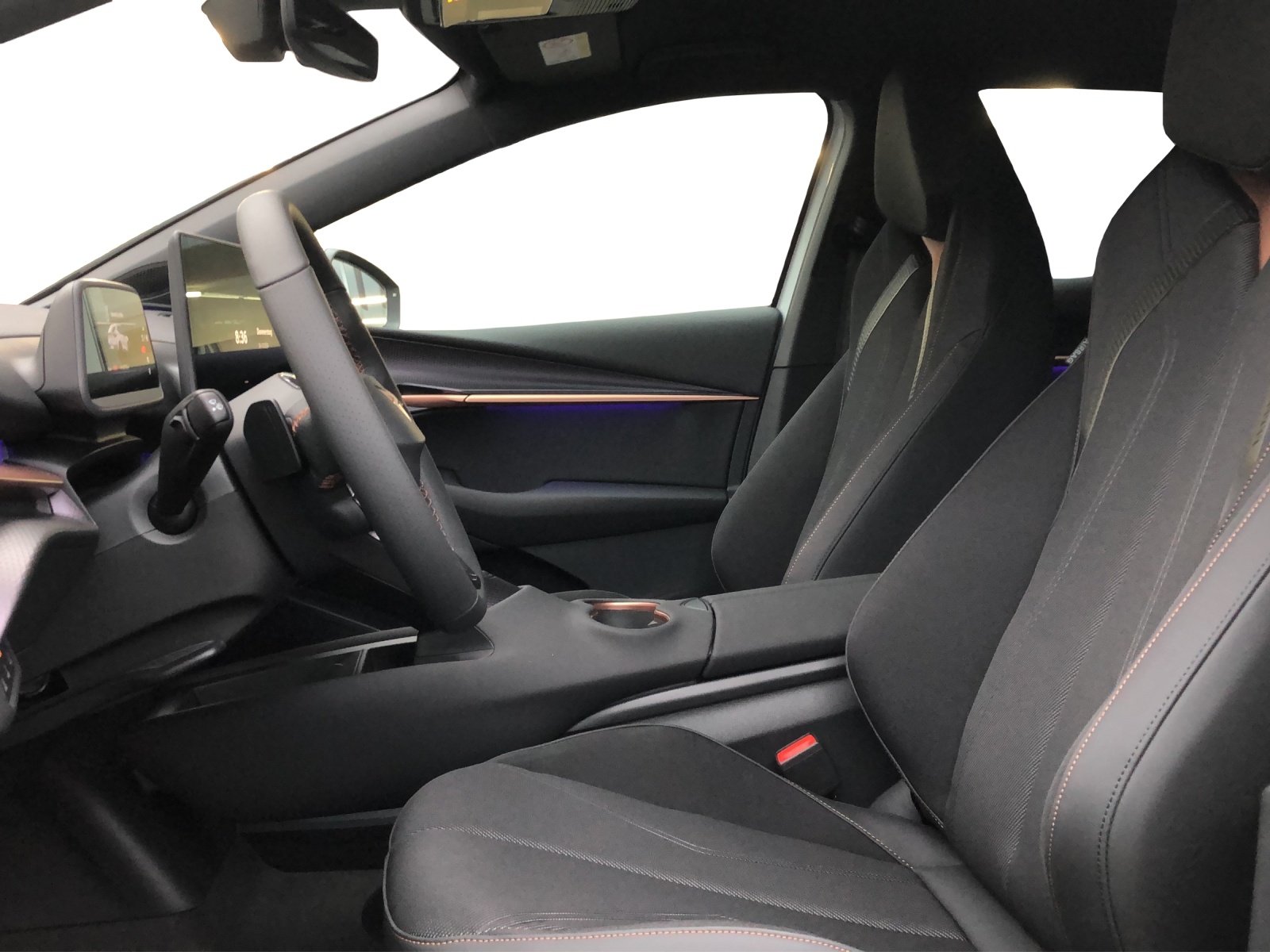 CUPRA Tavascan Inicio-image-9