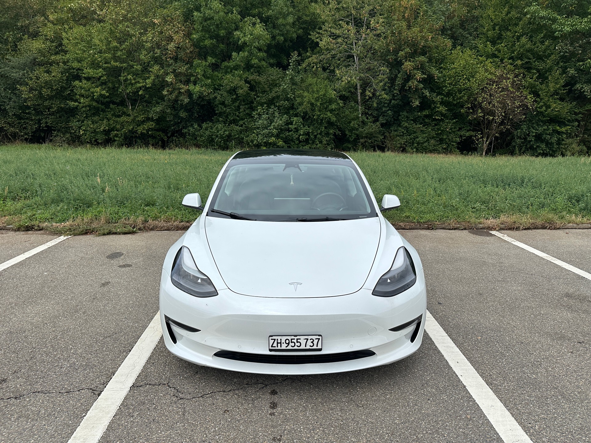 TESLA Long Range D-image-1