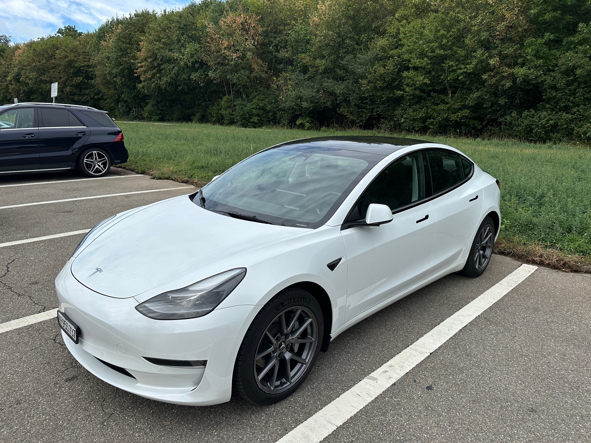 TESLA Long Range D-image-4
