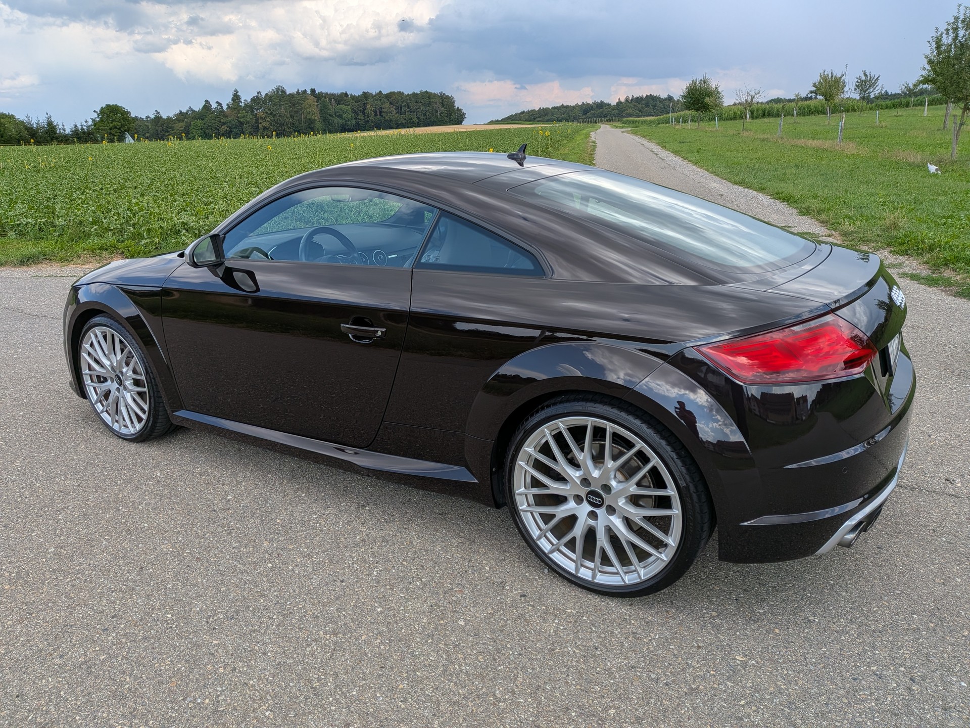 AUDI TTS Coupé 2.0 TFSI quattro S-tronic-image-9