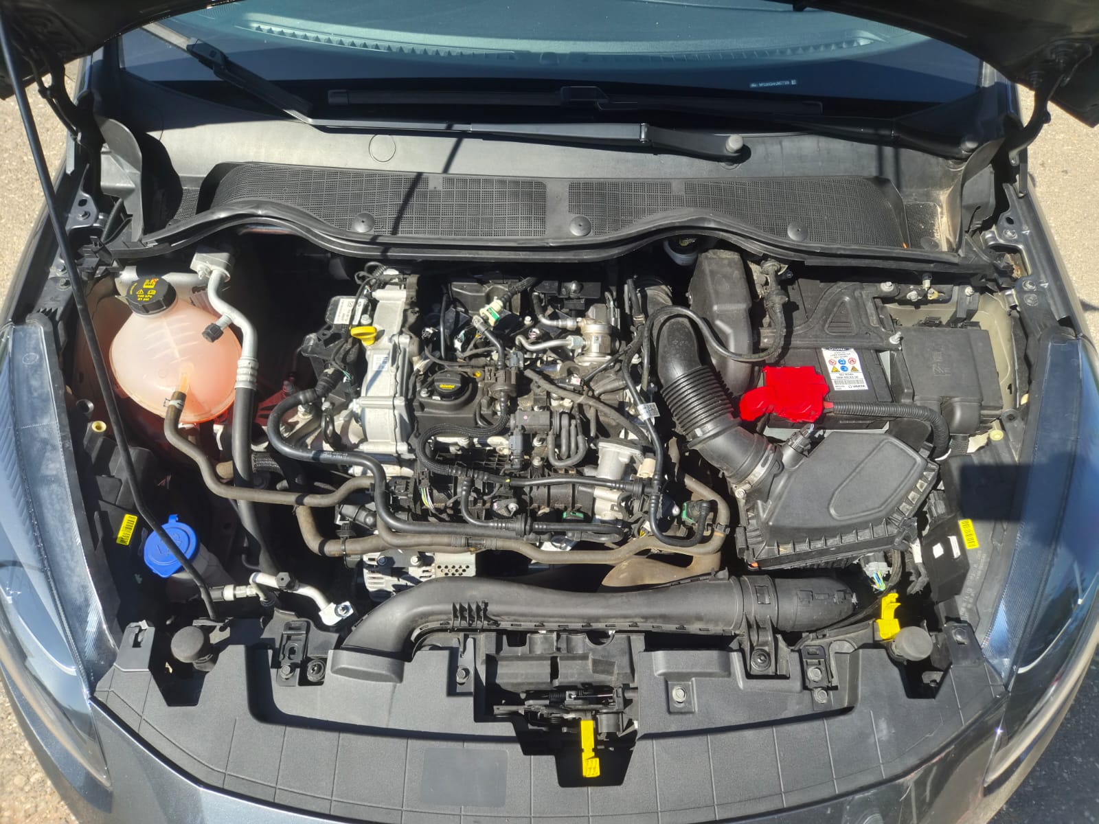 FORD Fiesta 1.0 SCTi MHEV Titanium-image-8