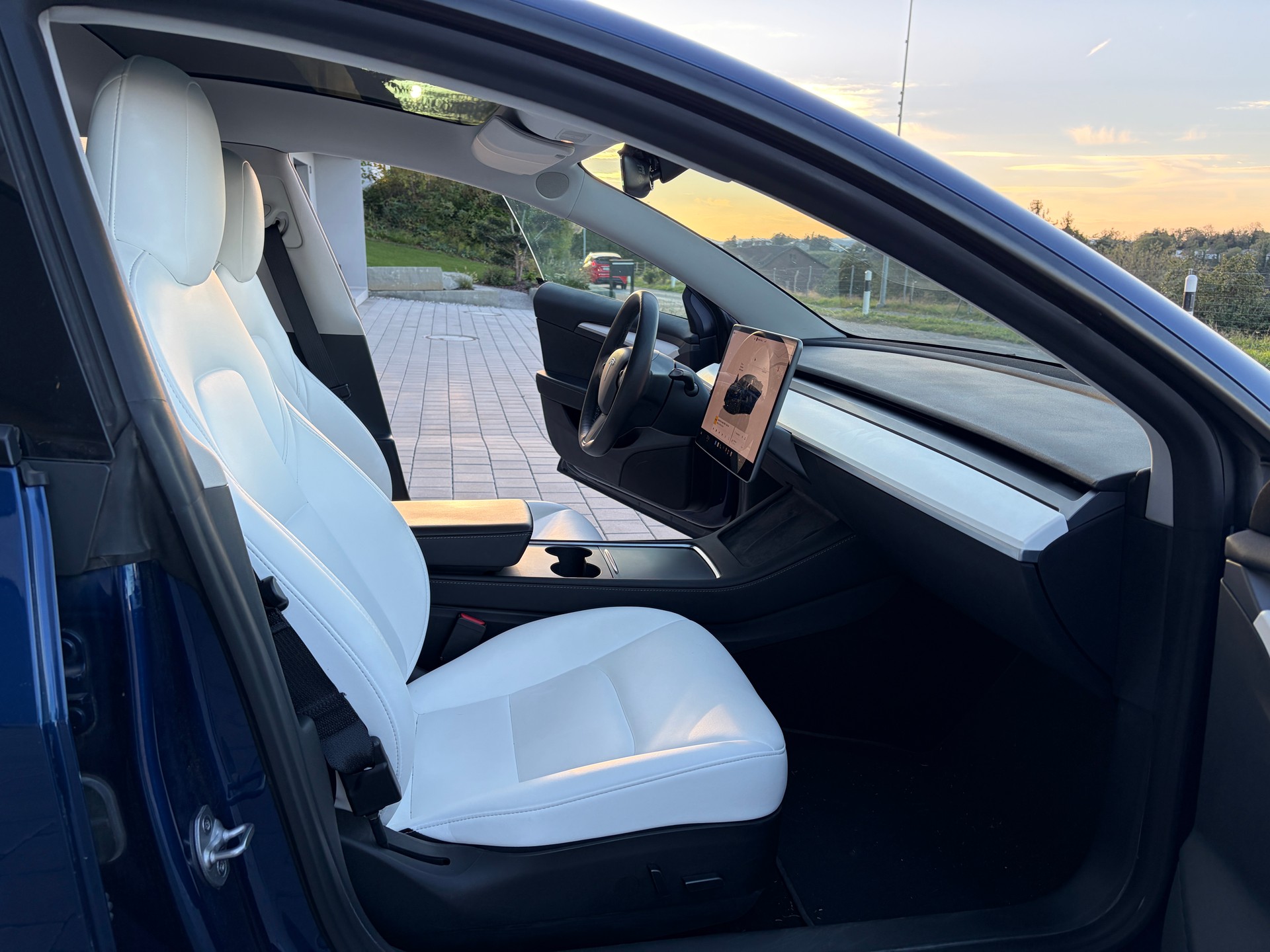 TESLA Model 3 Performance D-image-3
