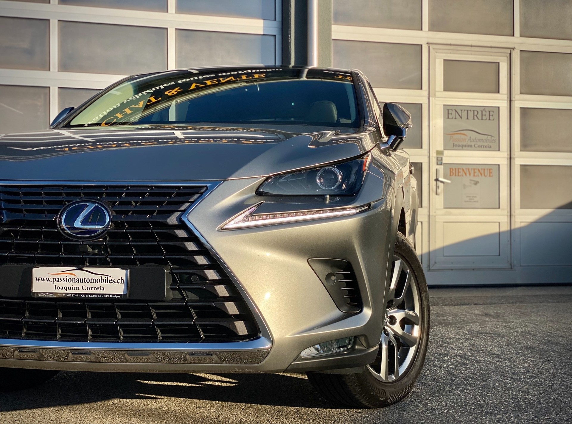 LEXUS NX 300h Diamond E-Four Automatic - Véhicule Suisse (CH)-image-2