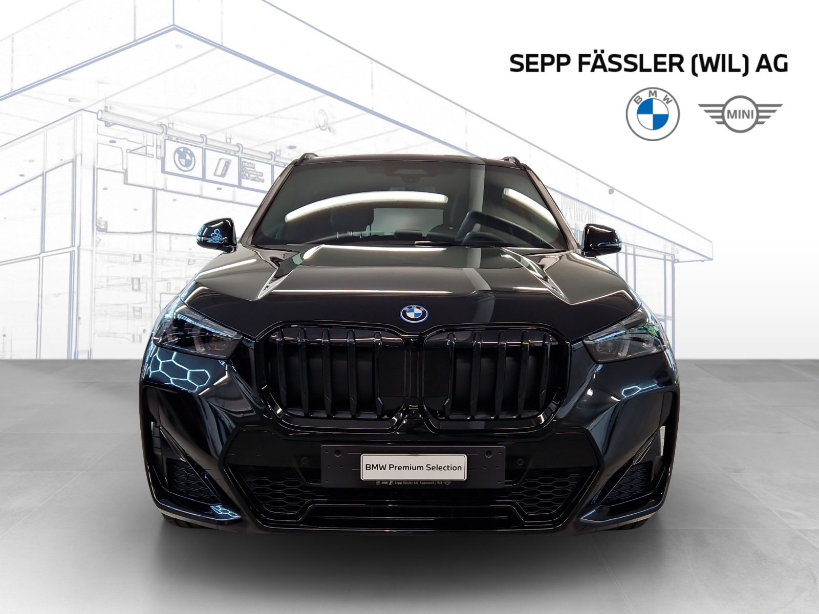 BMW X1 xDrive30e M Sport Pro-image-11