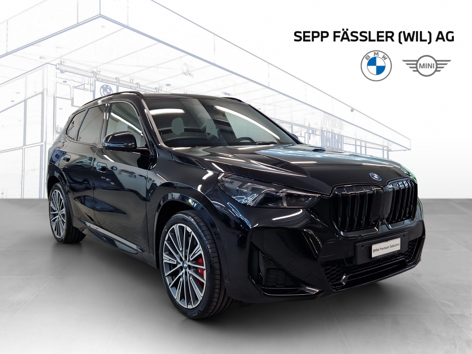BMW X1 xDrive30e M Sport Pro-image-10