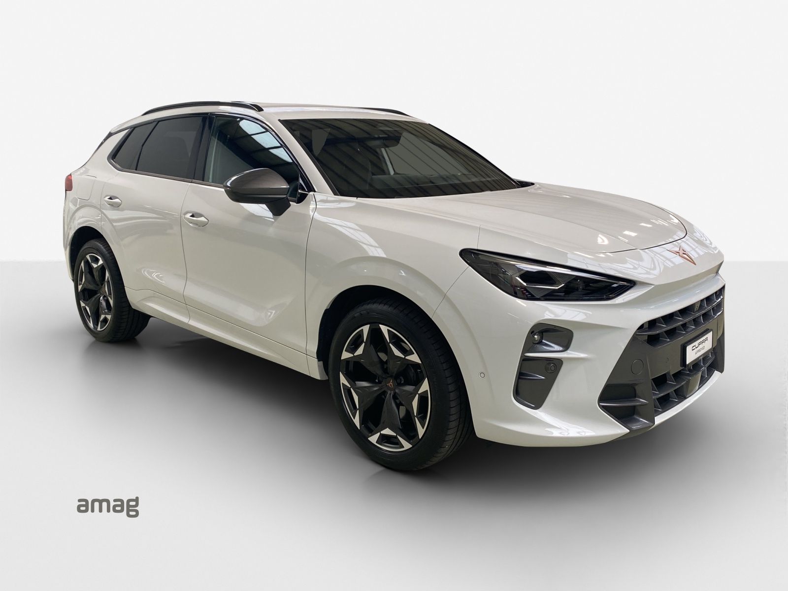 CUPRA Terramar 2.0 TSI DSG 4Drive VZ-image-5