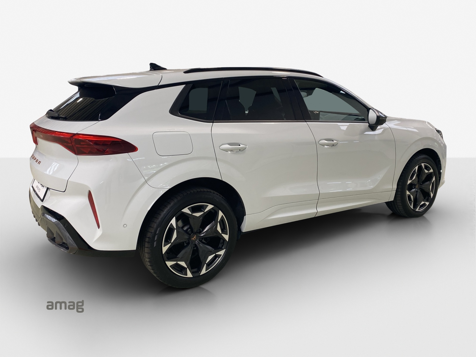 CUPRA Terramar 2.0 TSI DSG 4Drive VZ-image-4