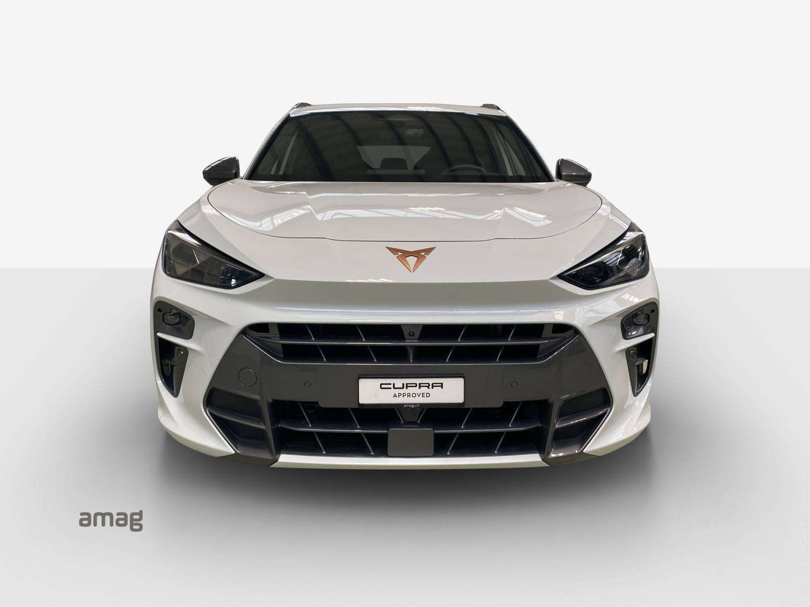 CUPRA Terramar 2.0 TSI DSG 4Drive VZ-image-6