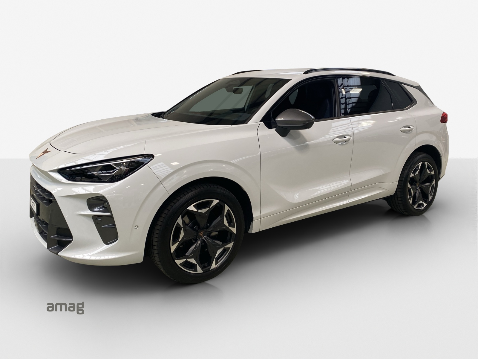 CUPRA Terramar 2.0 TSI DSG 4Drive VZ-image-0