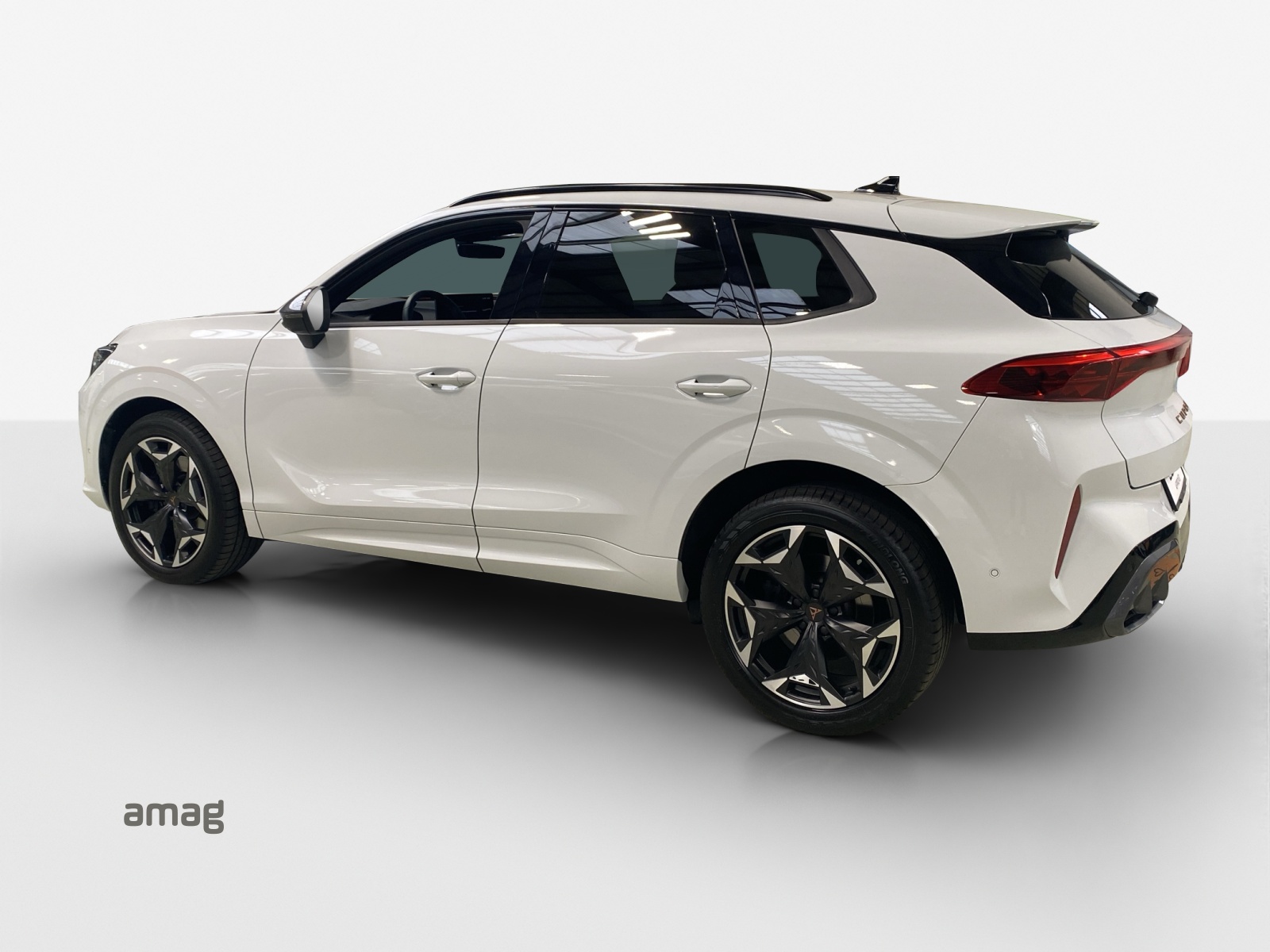 CUPRA Terramar 2.0 TSI DSG 4Drive VZ-image-2