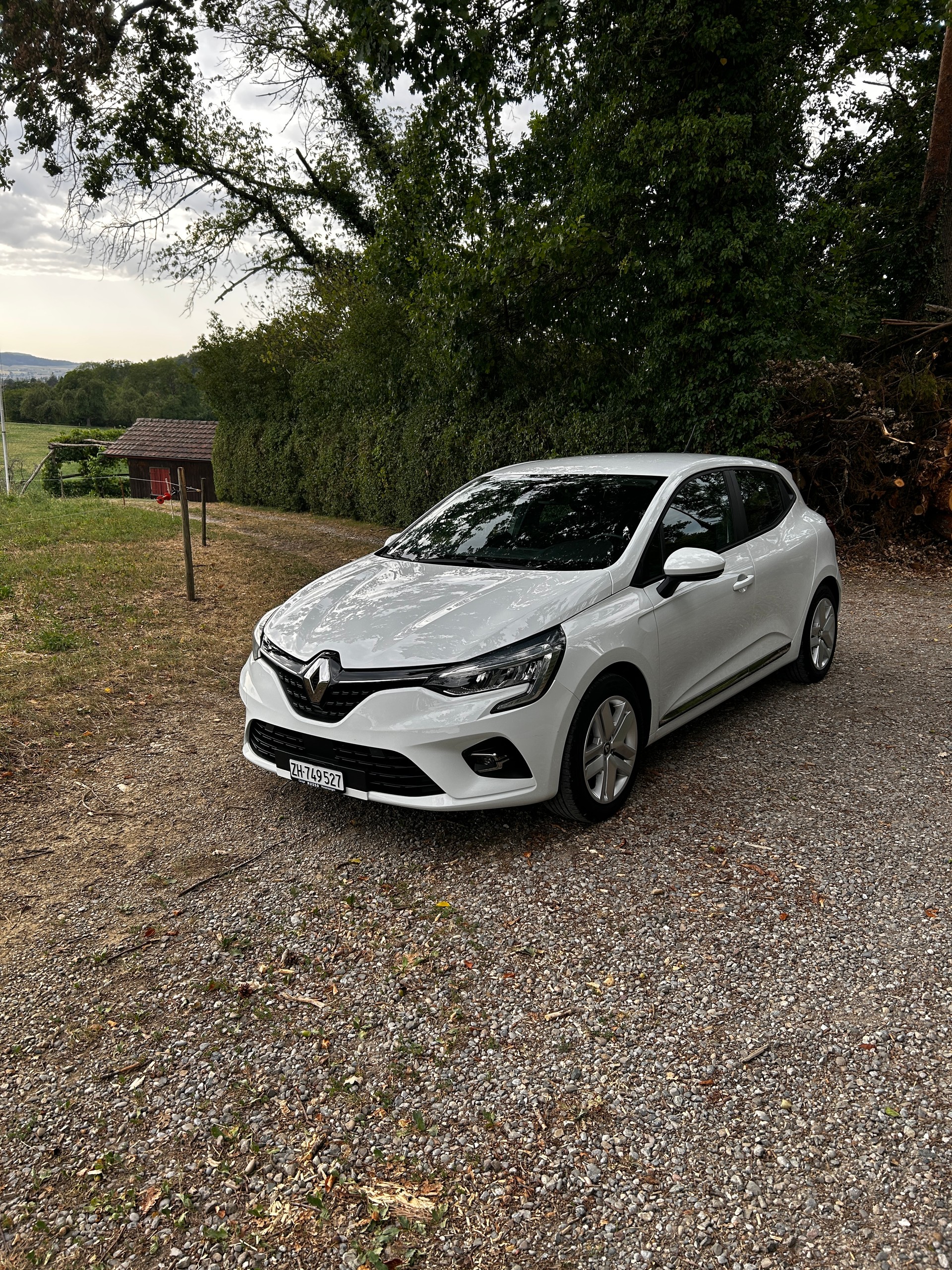 RENAULT 1.0 TCe 100 Business-image-0