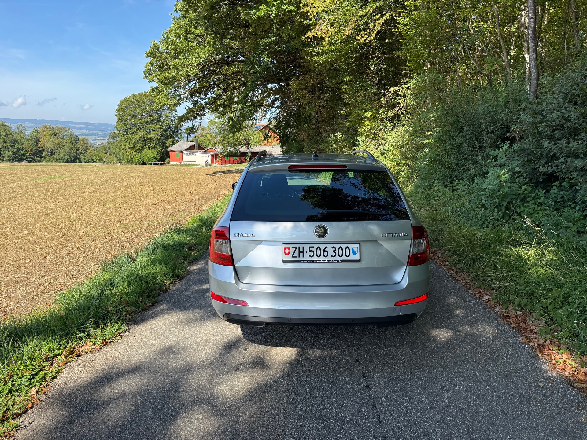 SKODA Octavia Elegance 1.6 TDI DSG (CH)-image-4