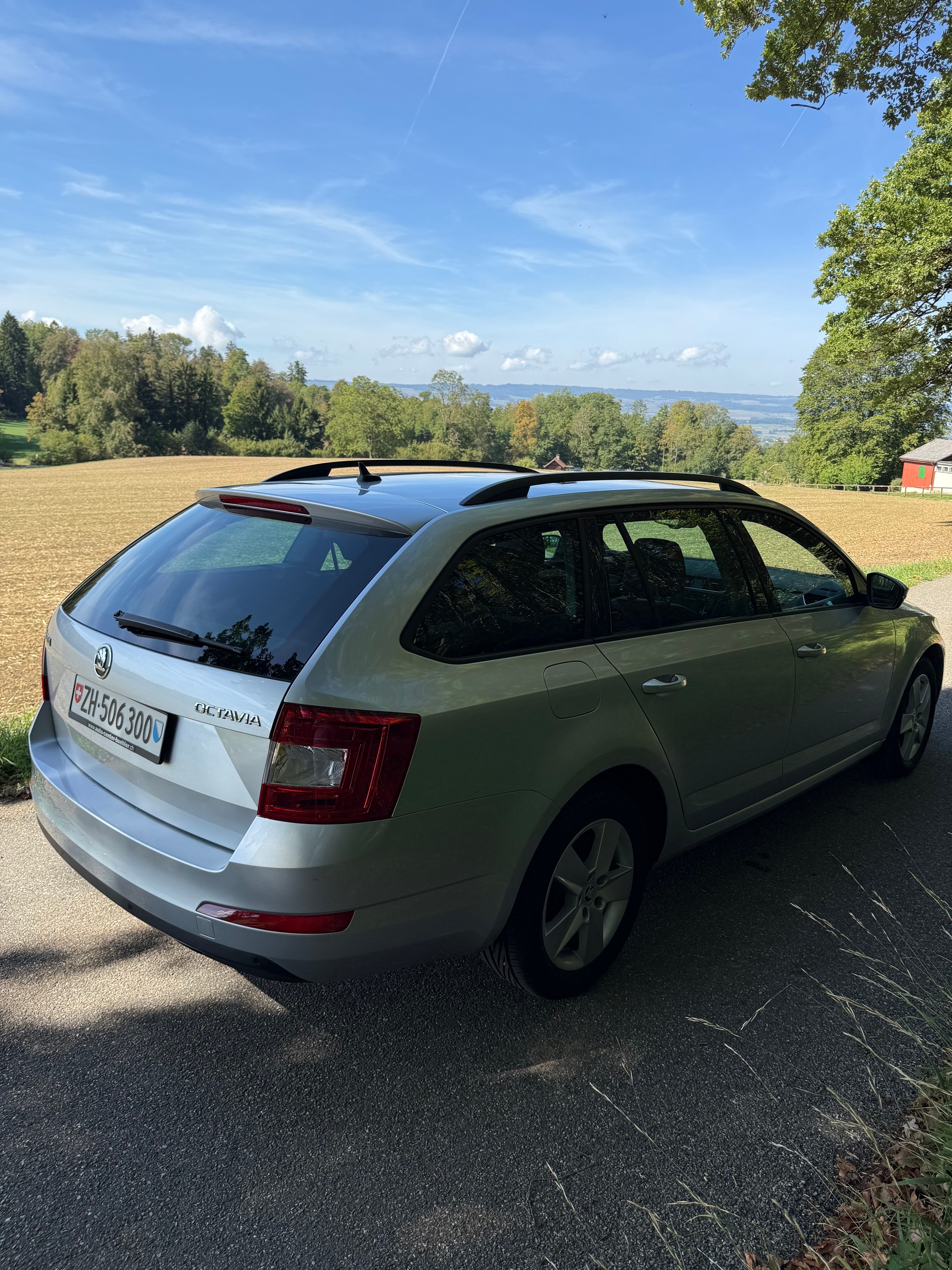 SKODA Octavia Elegance 1.6 TDI DSG (CH)-image-5