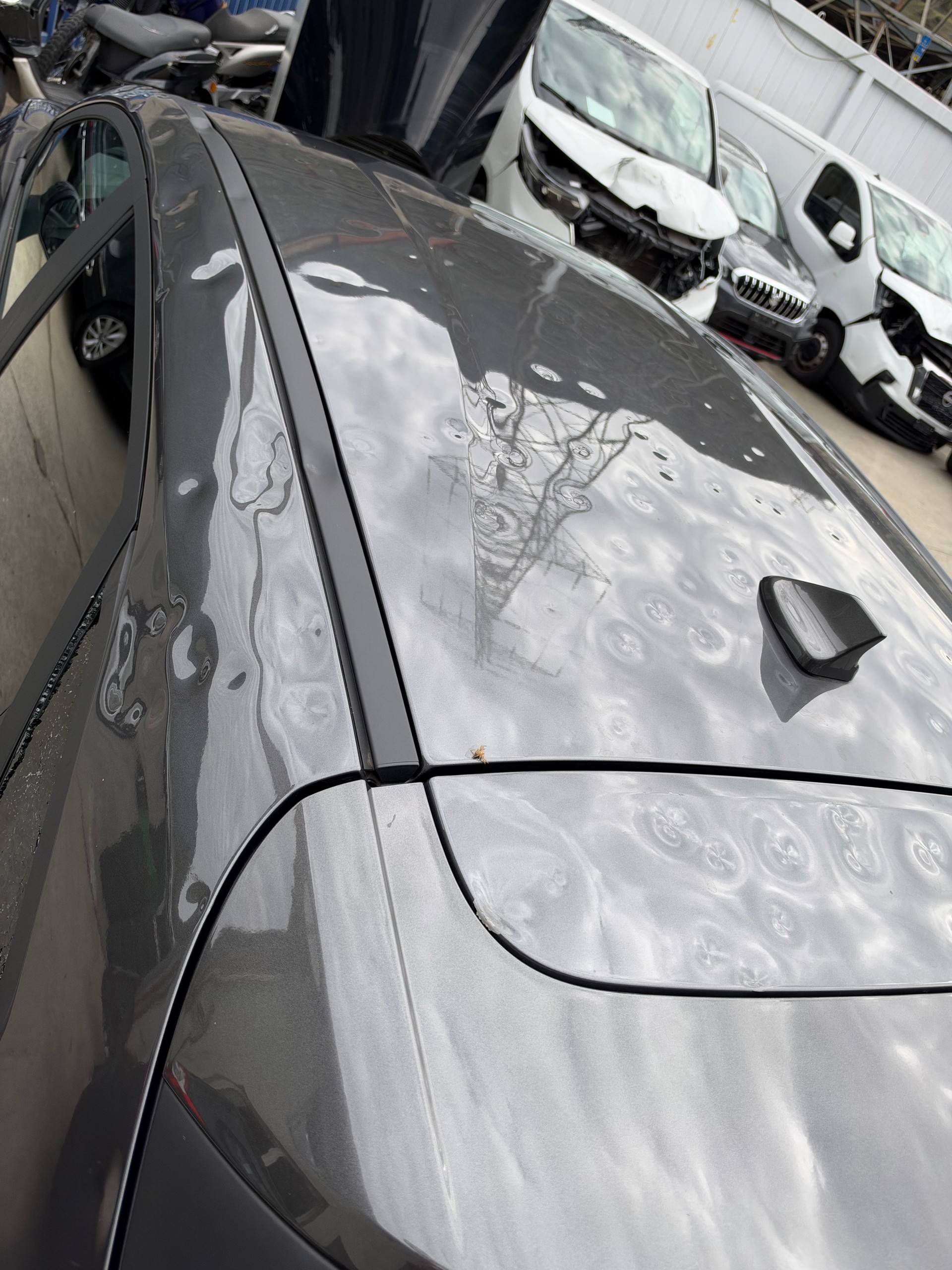 FORD Puma 1.0 MHEV Titanium Automat-image-8