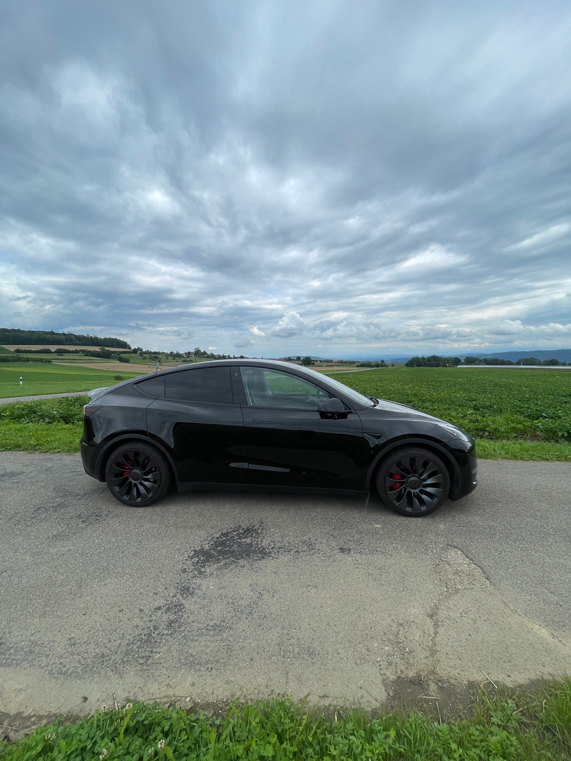 TESLA Model Y Performance-image-1