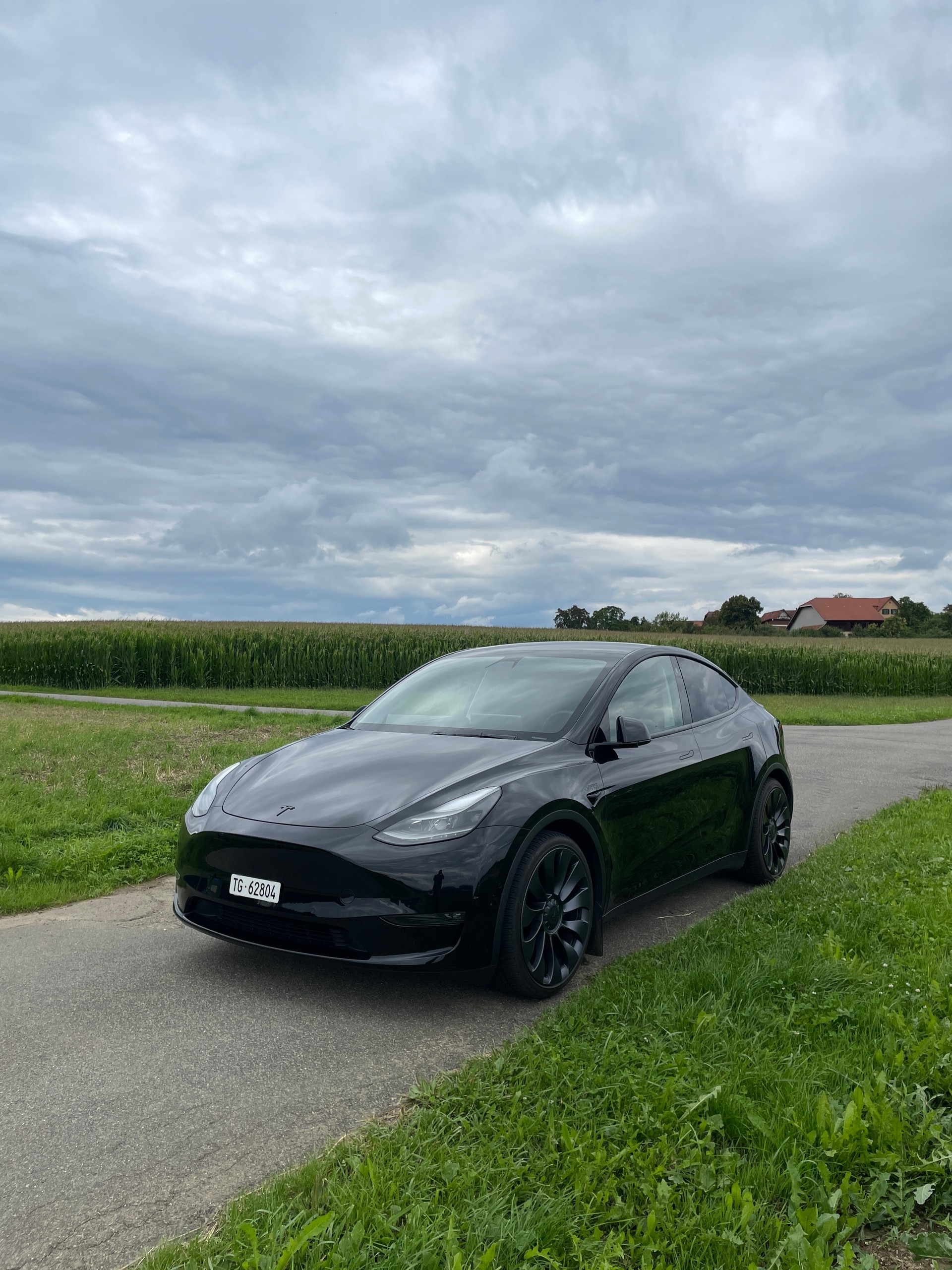 TESLA Model Y Performance-image-0