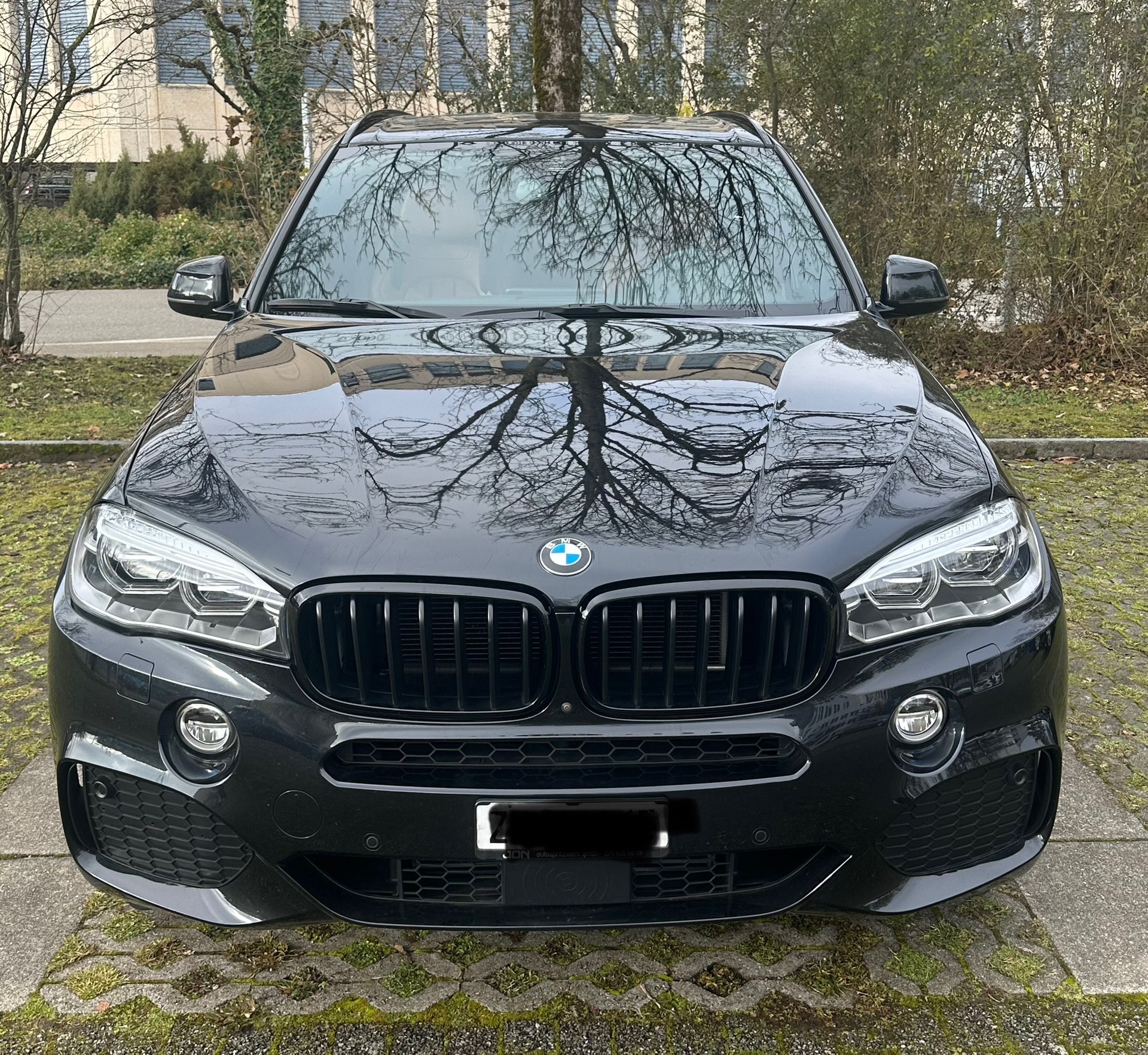 BMW X5 xDrive 35i Pure M Sport Steptronic