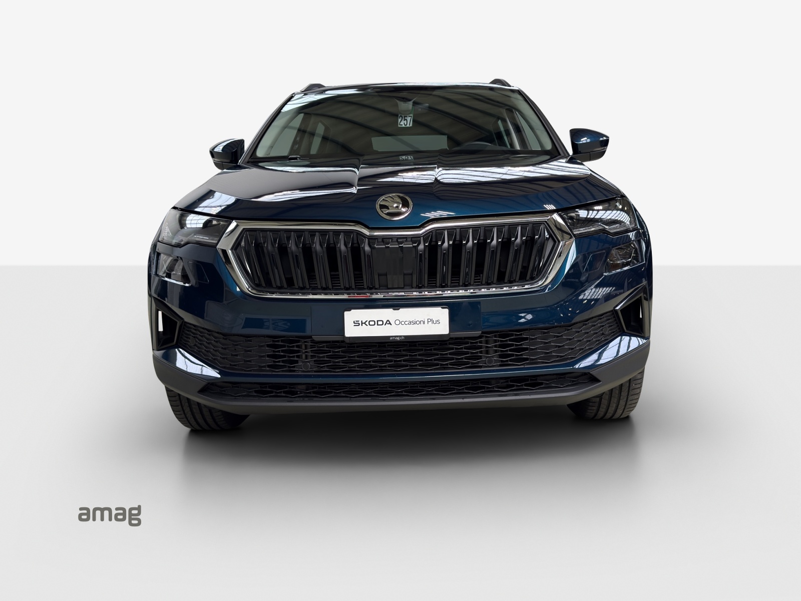 SKODA Karoq 2.0 TDI CR Style 4x4 DSG-image-6