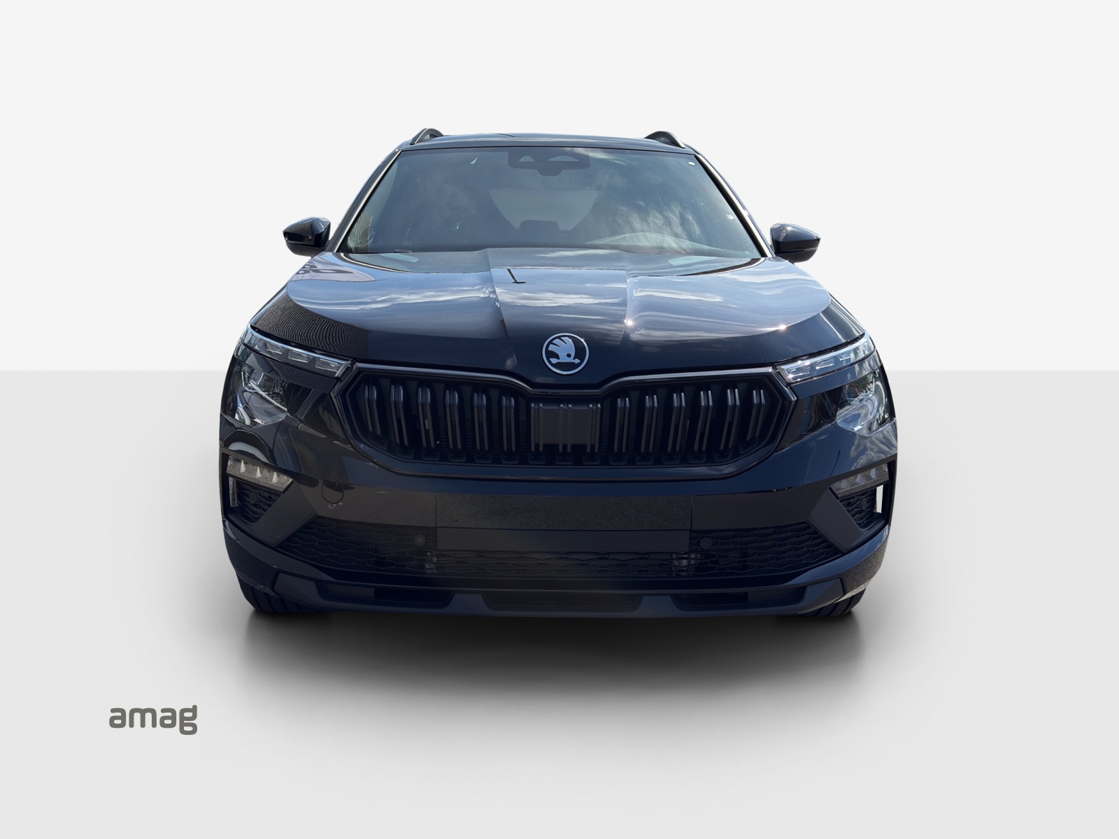 SKODA Kamiq 1.5 TSI Dynamic DSG-image-6