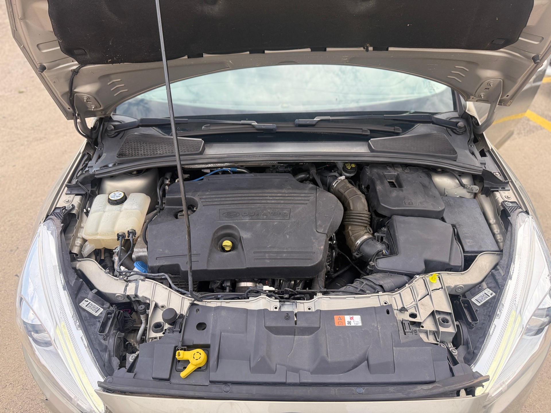 FORD Focus 2.0 TDCi Business Powershift-image-8