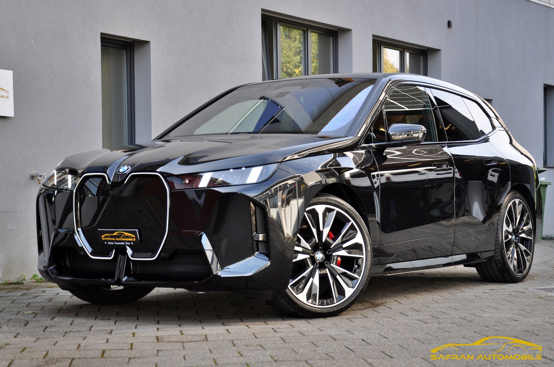 BMW iX xDrive60 M Sport Pro-image-0