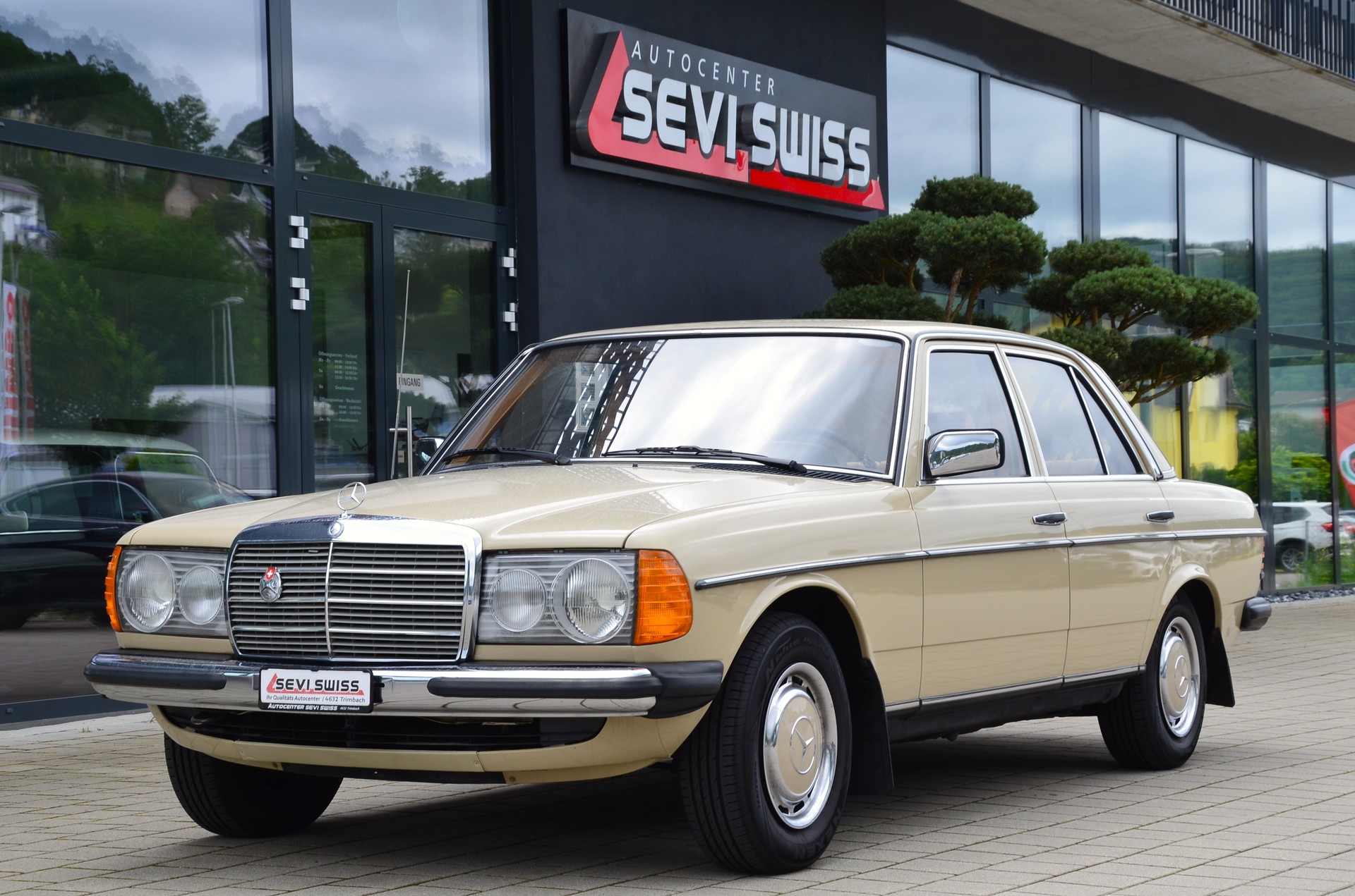 MERCEDES-BENZ 250-image-6