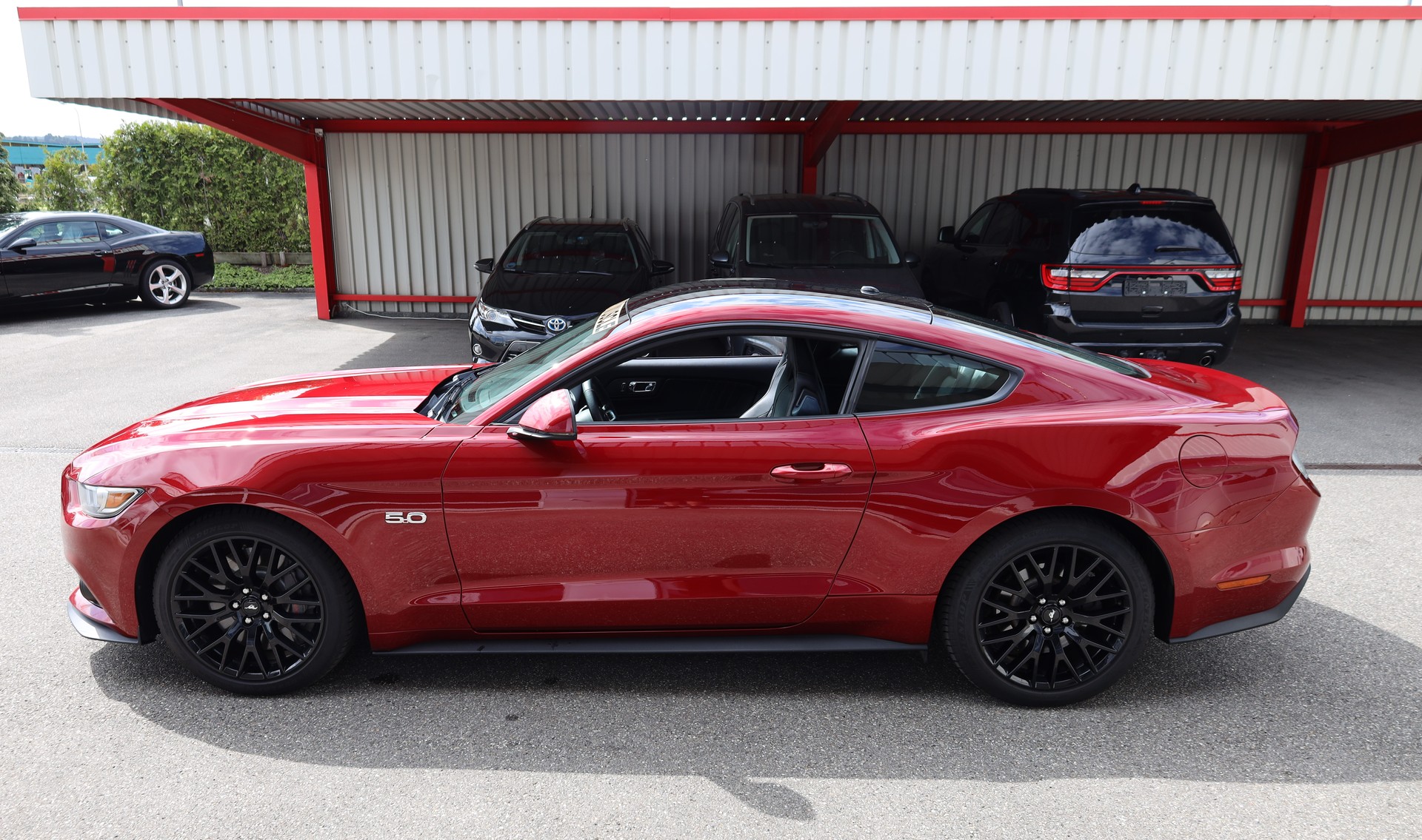 FORD Mustang Fastback 5.0 V8 GT Automat-image-8