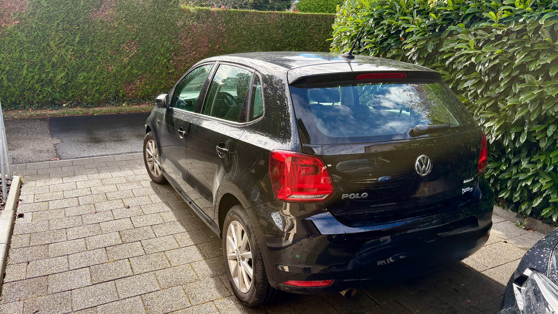 VW 1.0 TSI 110 BlueMT Lounge DSG-image-2