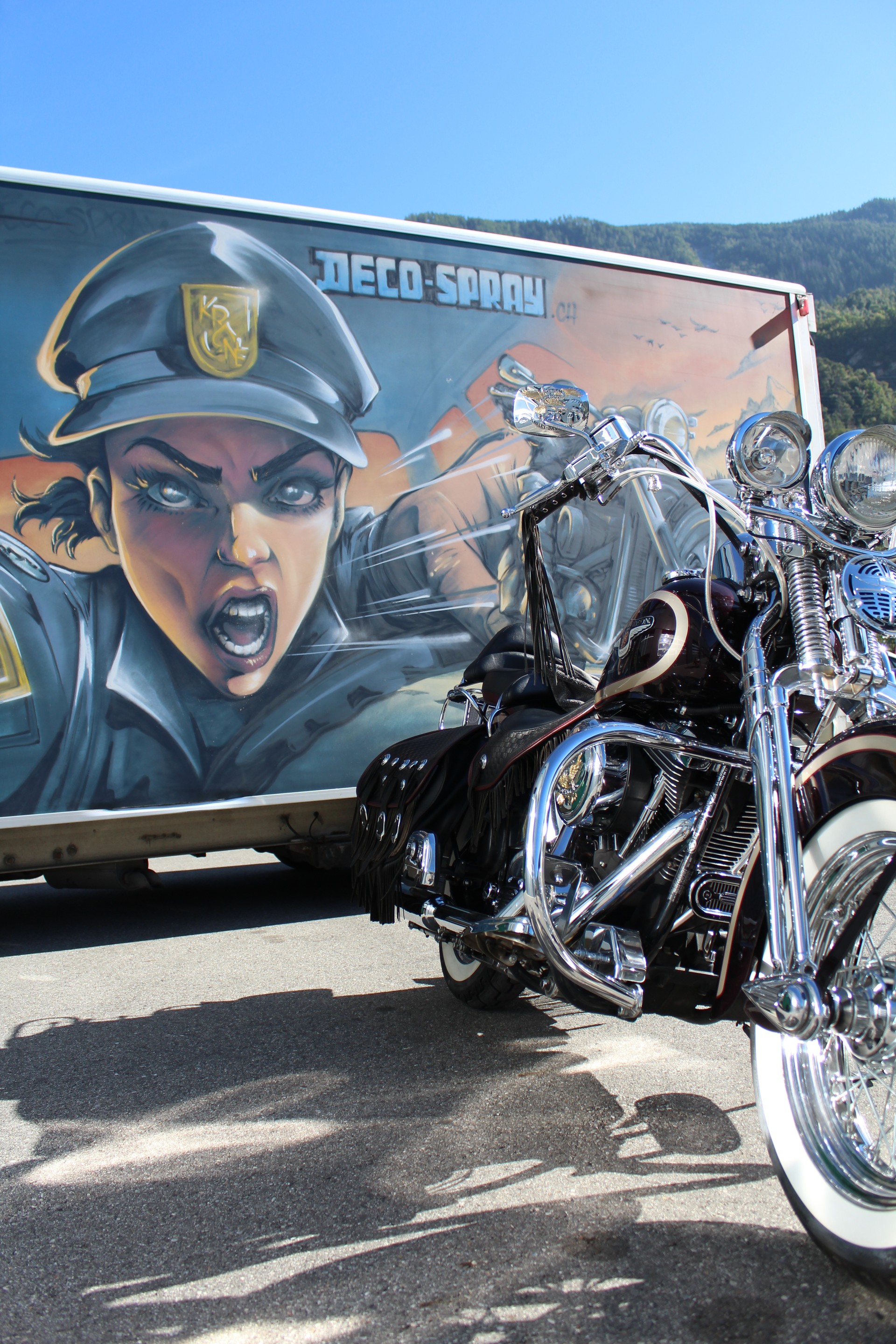 HARLEY-DAVIDSON FLSTS Springer Anniversary-image-3