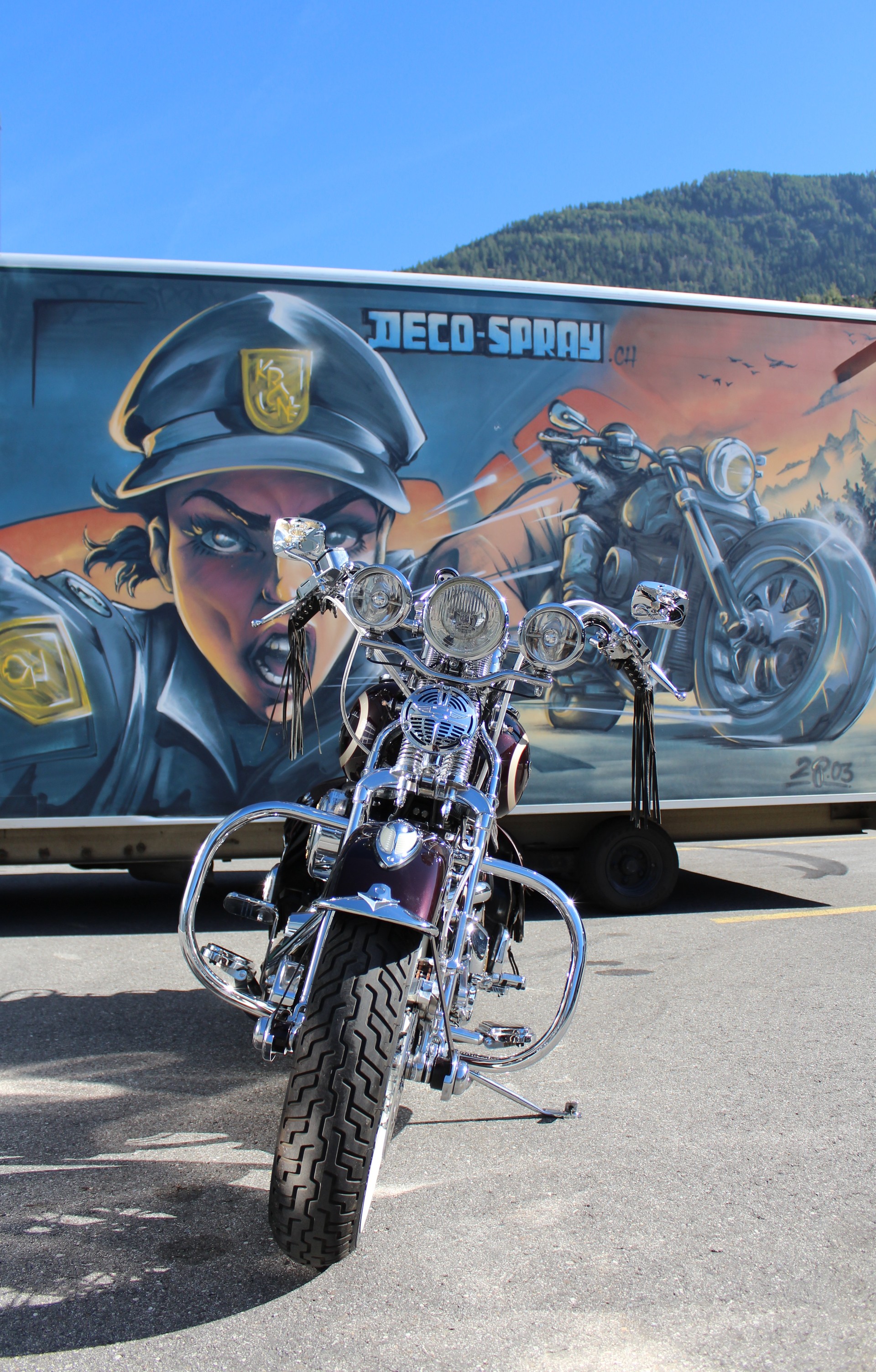 HARLEY-DAVIDSON FLSTS Springer Anniversary-image-1