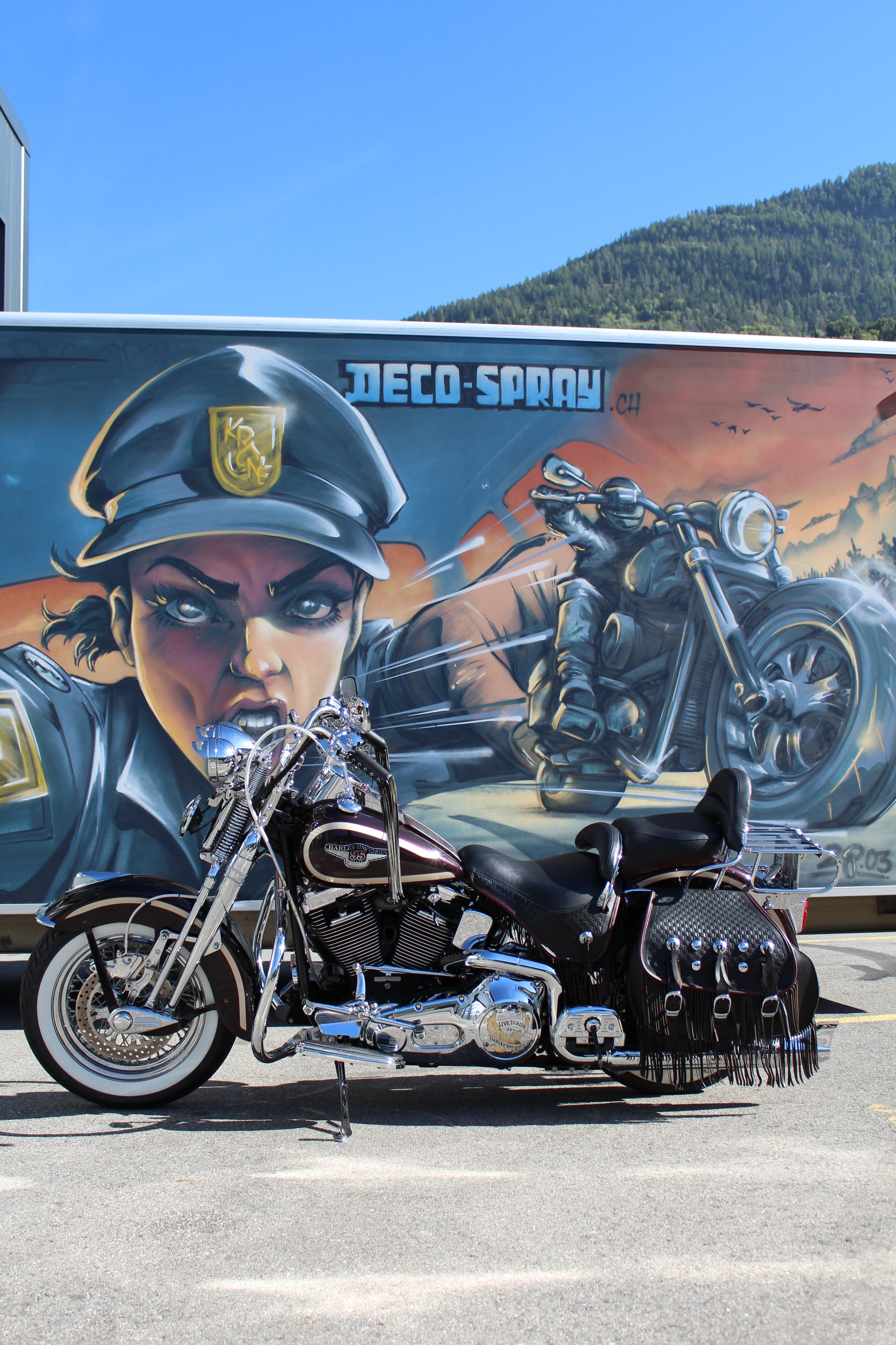 HARLEY-DAVIDSON FLSTS Springer Anniversary