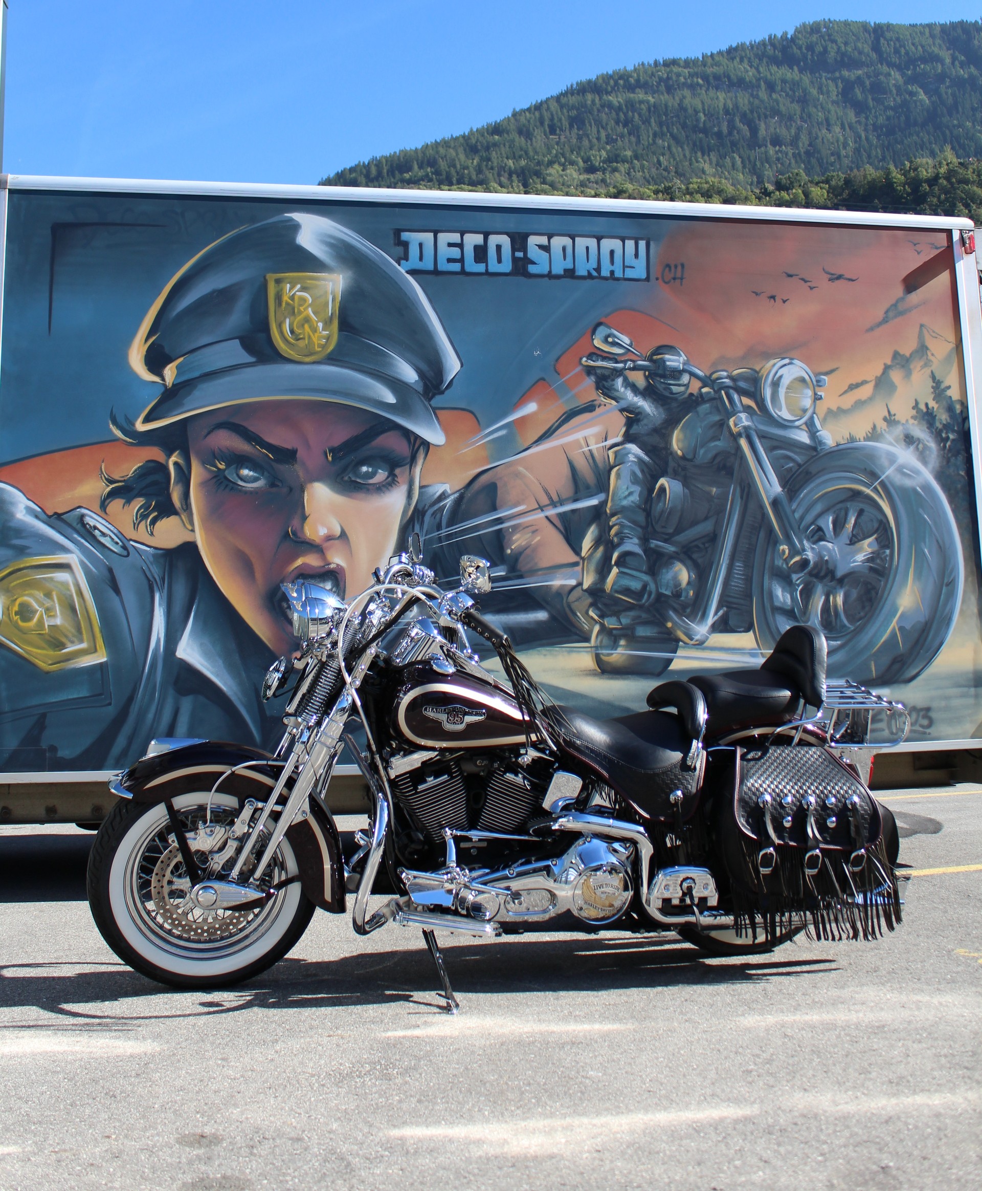 HARLEY-DAVIDSON FLSTS Springer Anniversary-image-5
