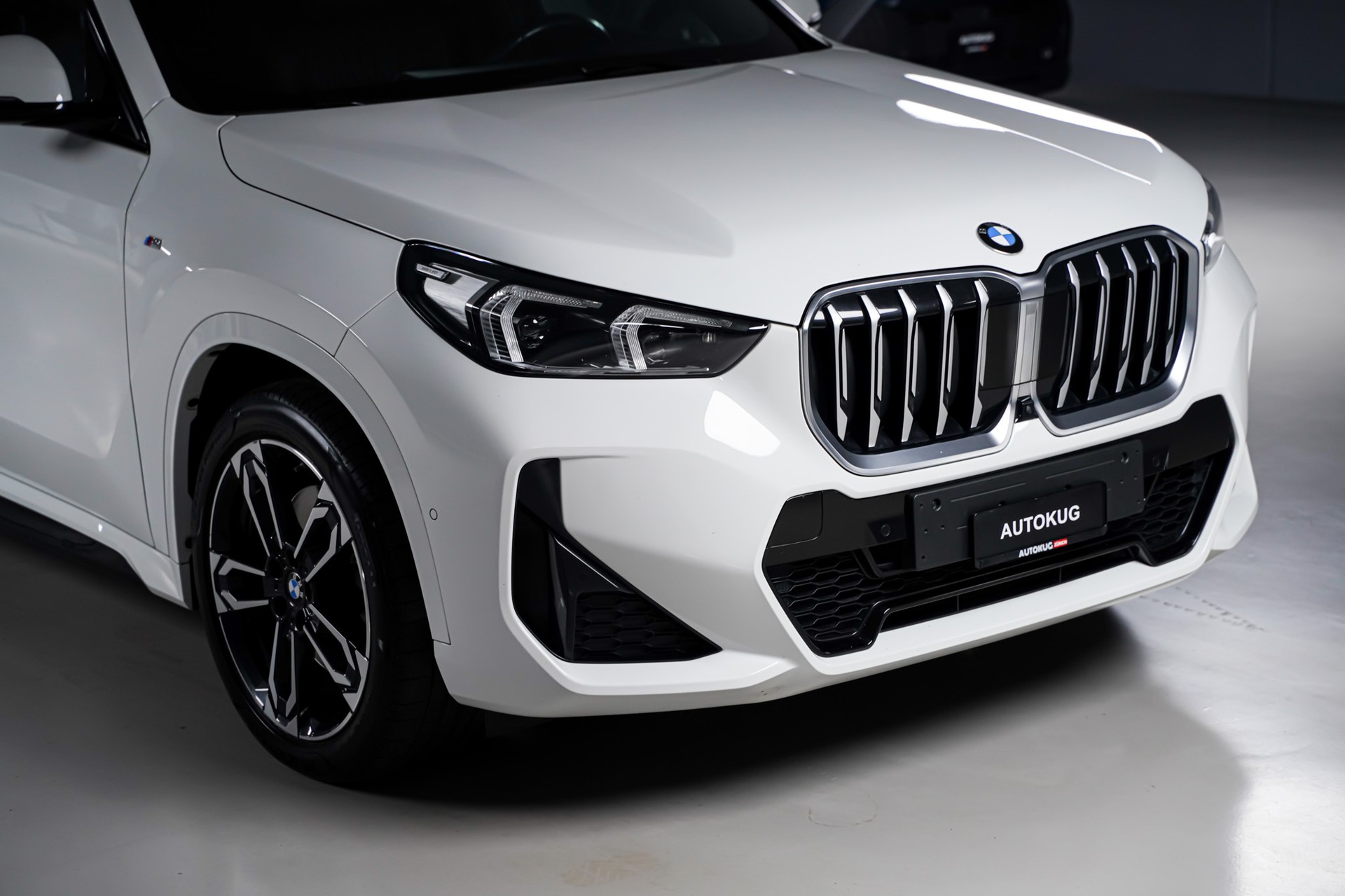 BMW X1 xDrive 23d 48V M Sport-image-2