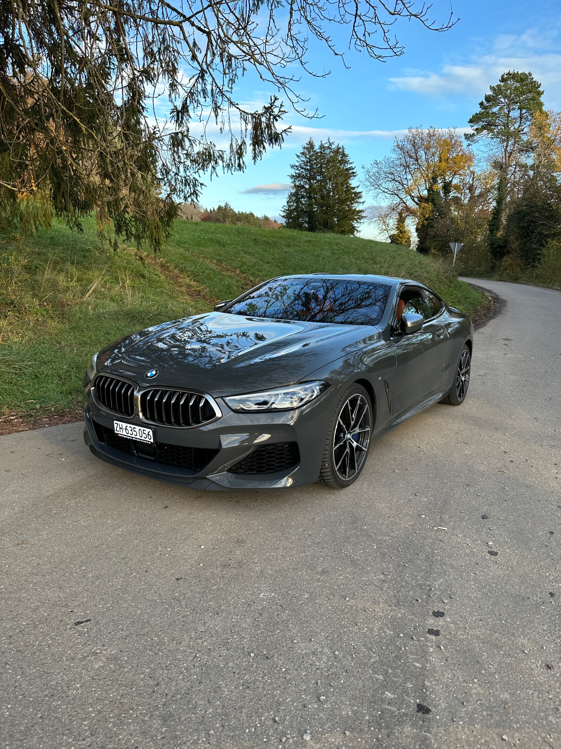BMW M850i xDrive-image-4