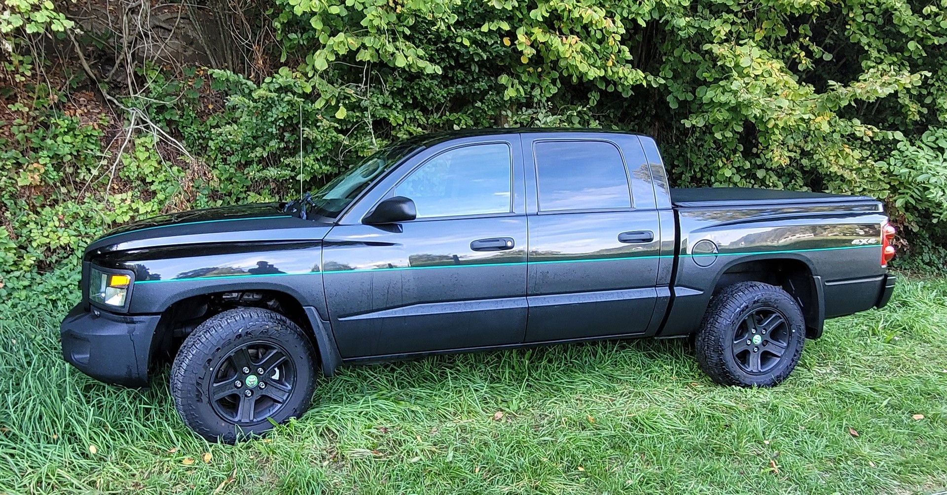 DODGE Dakota-image-2