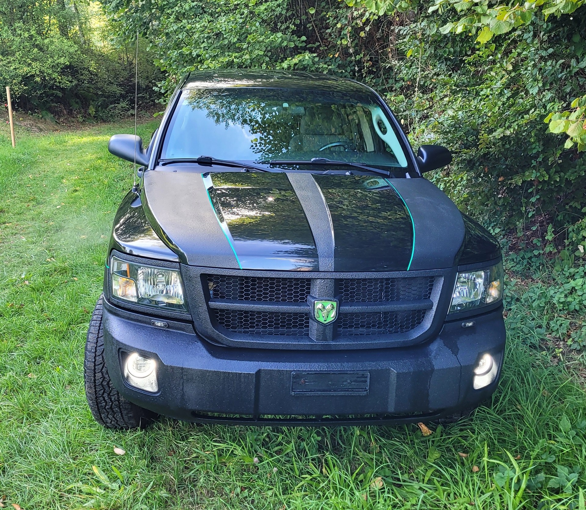 DODGE Dakota