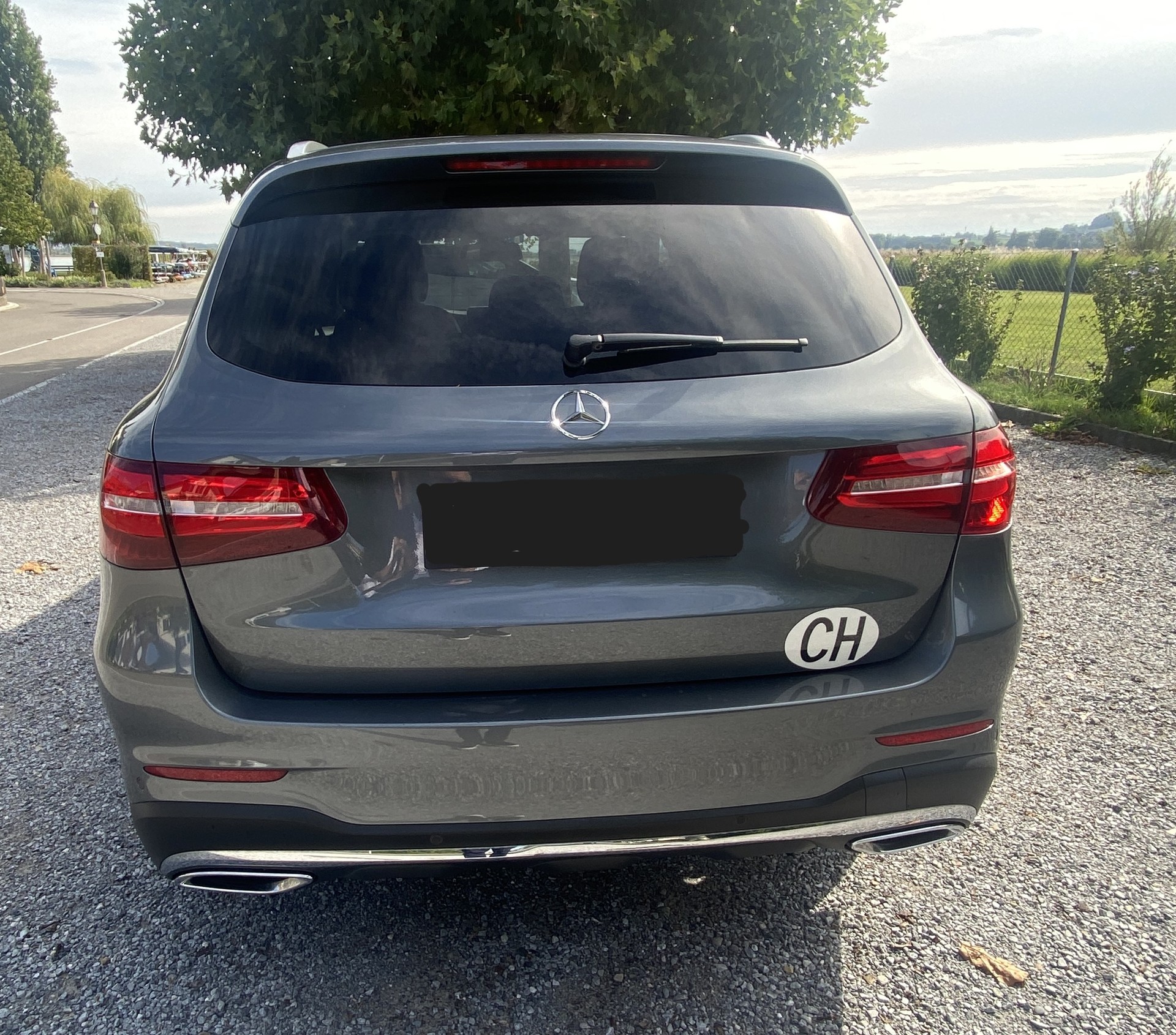 MERCEDES-BENZ GLC 250 d 4m-image-1